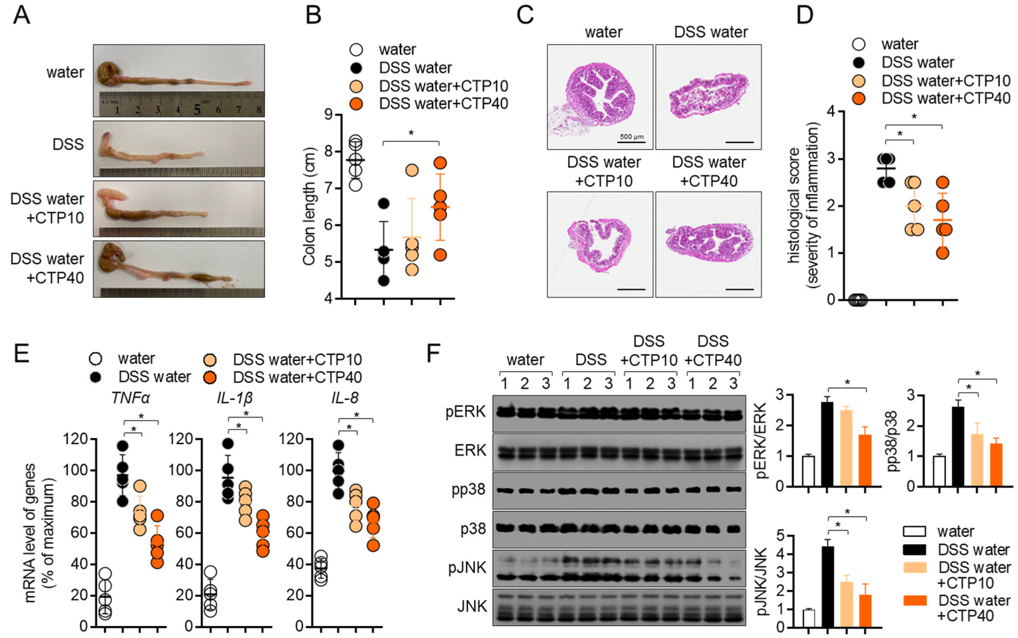 Molecules 27 04633 g007 Molecules 27 04633 g007