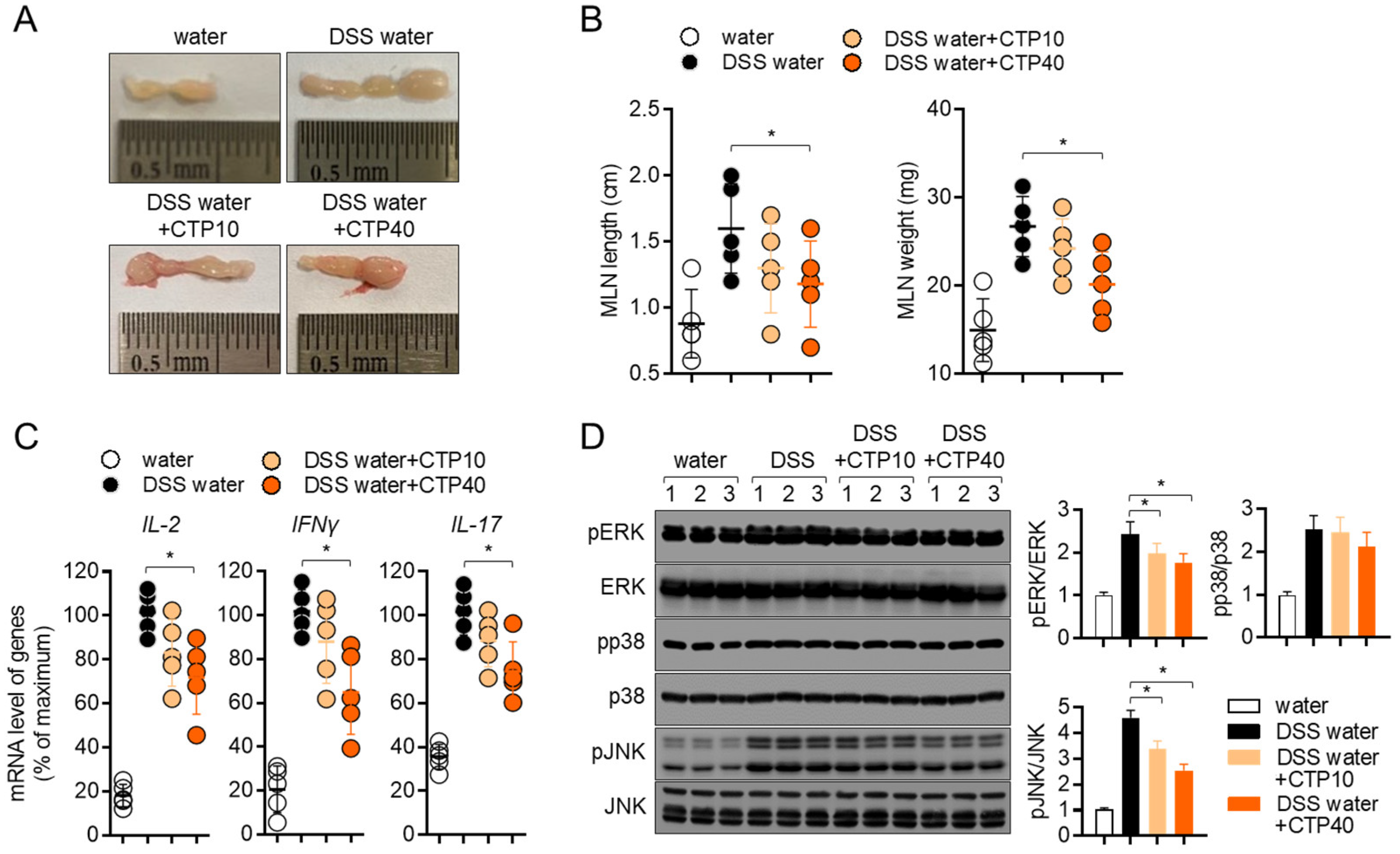 Molecules 27 04633 g008 Molecules 27 04633 g008