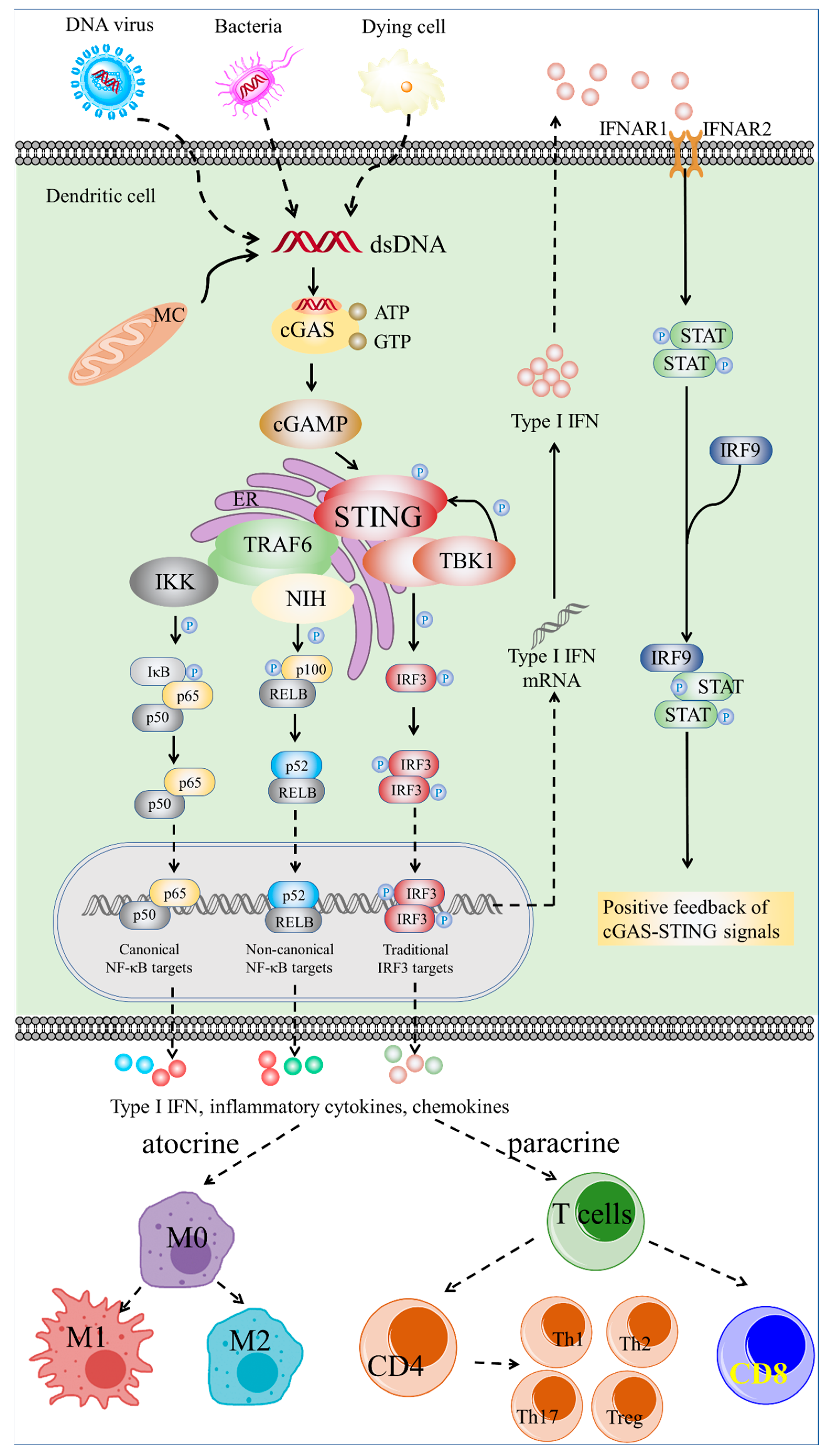 Molecules 27 04638 g001