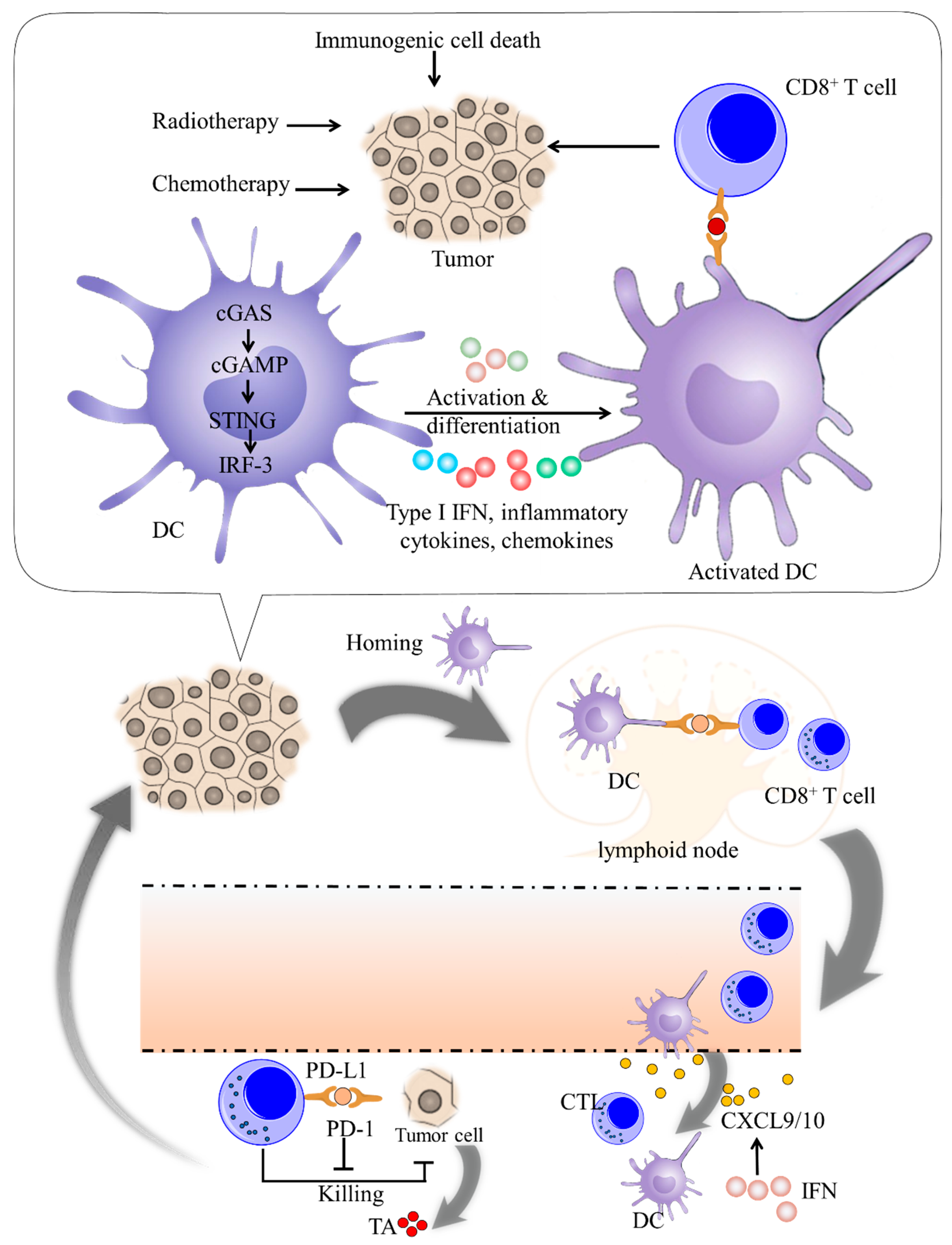 Molecules 27 04638 g002