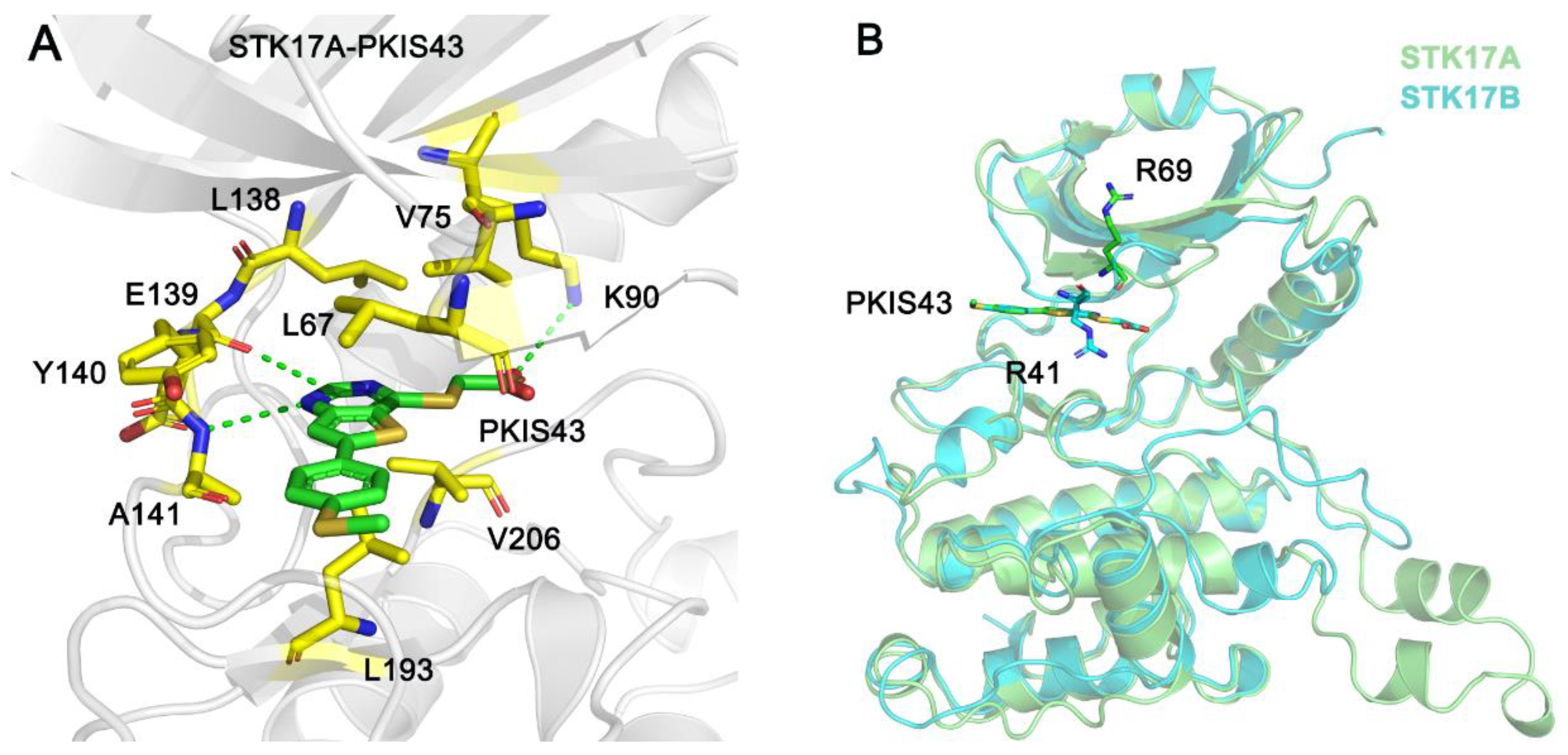 Molecules 27 04655 g002 550