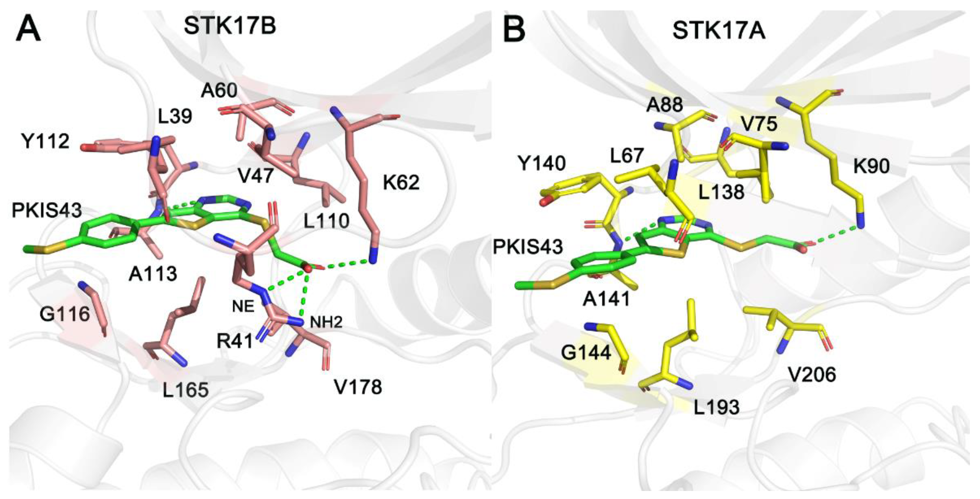 Molecules 27 04655 g006 550