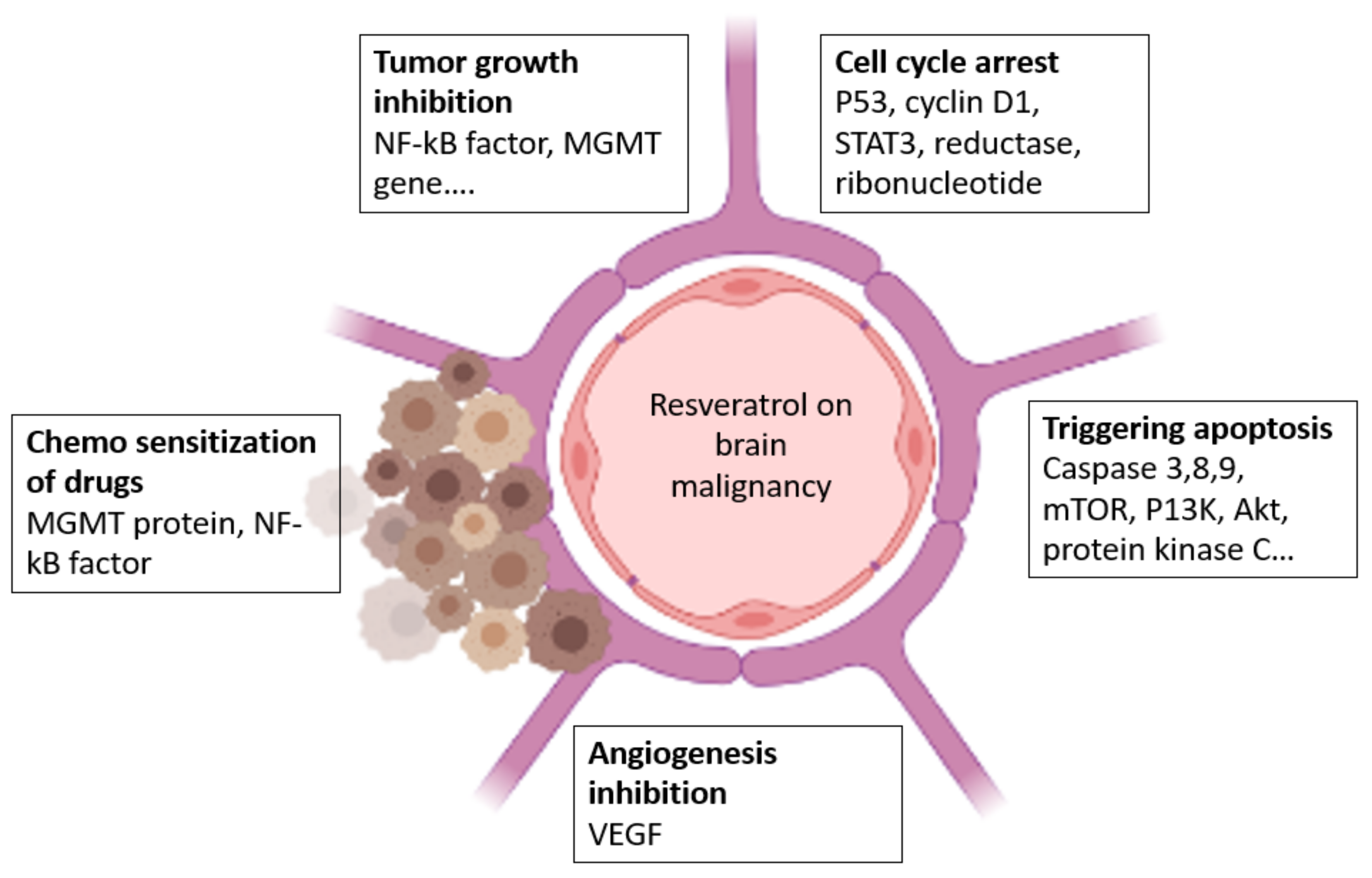 Molecules 27 04663 g004