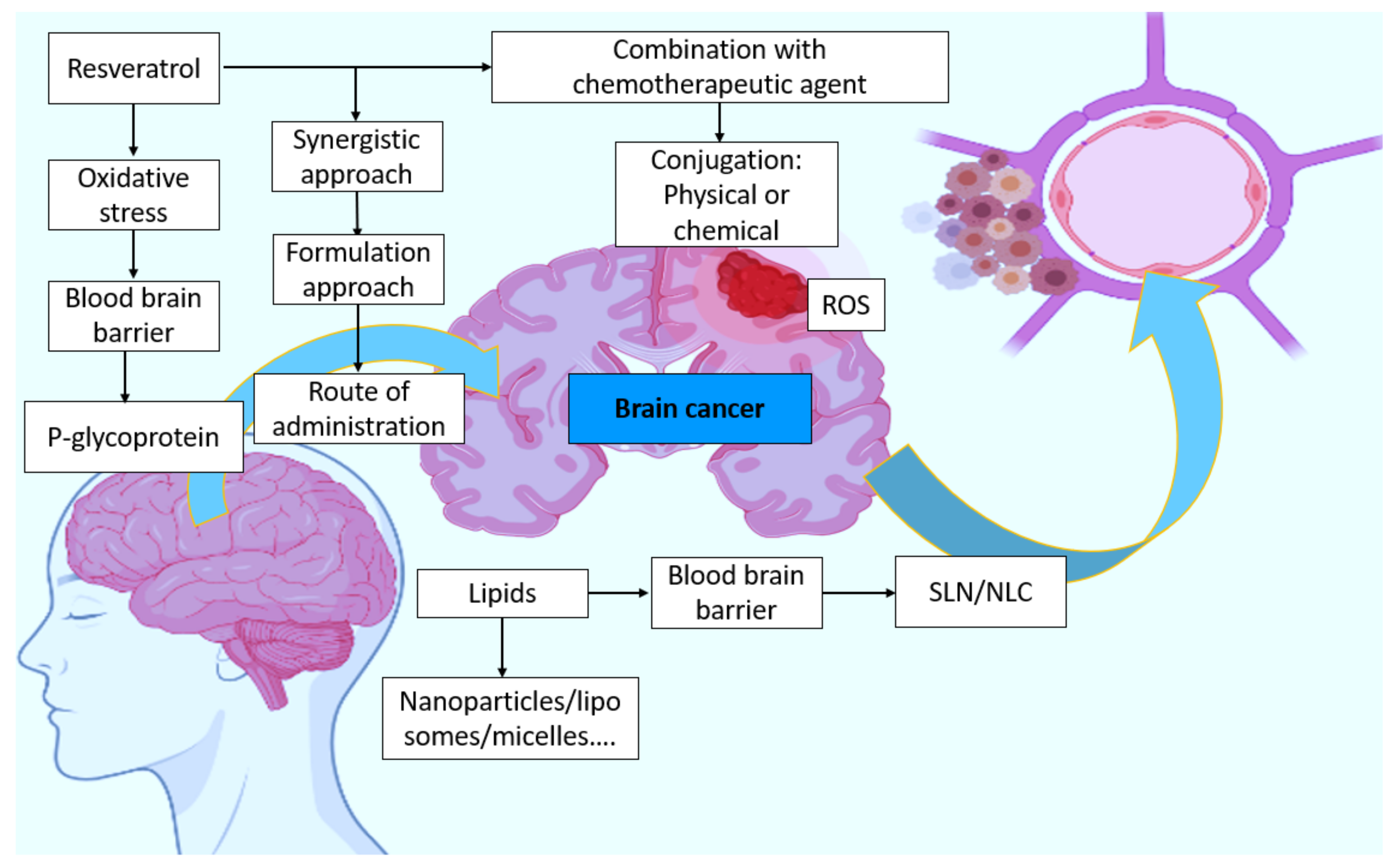 Molecules 27 04663 g006