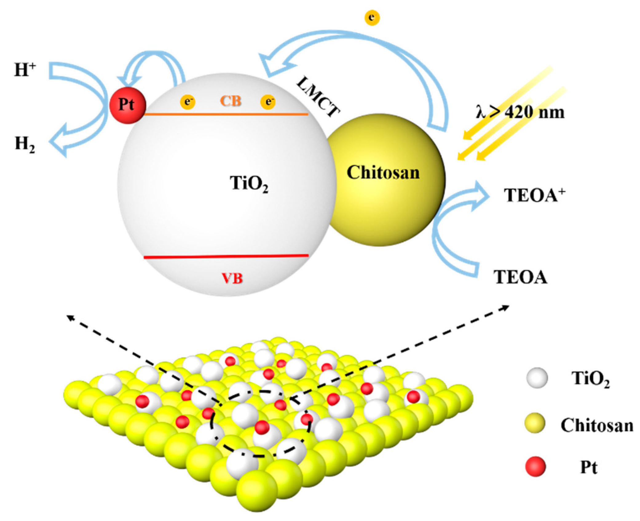 Molecules 27 04673 g007 550