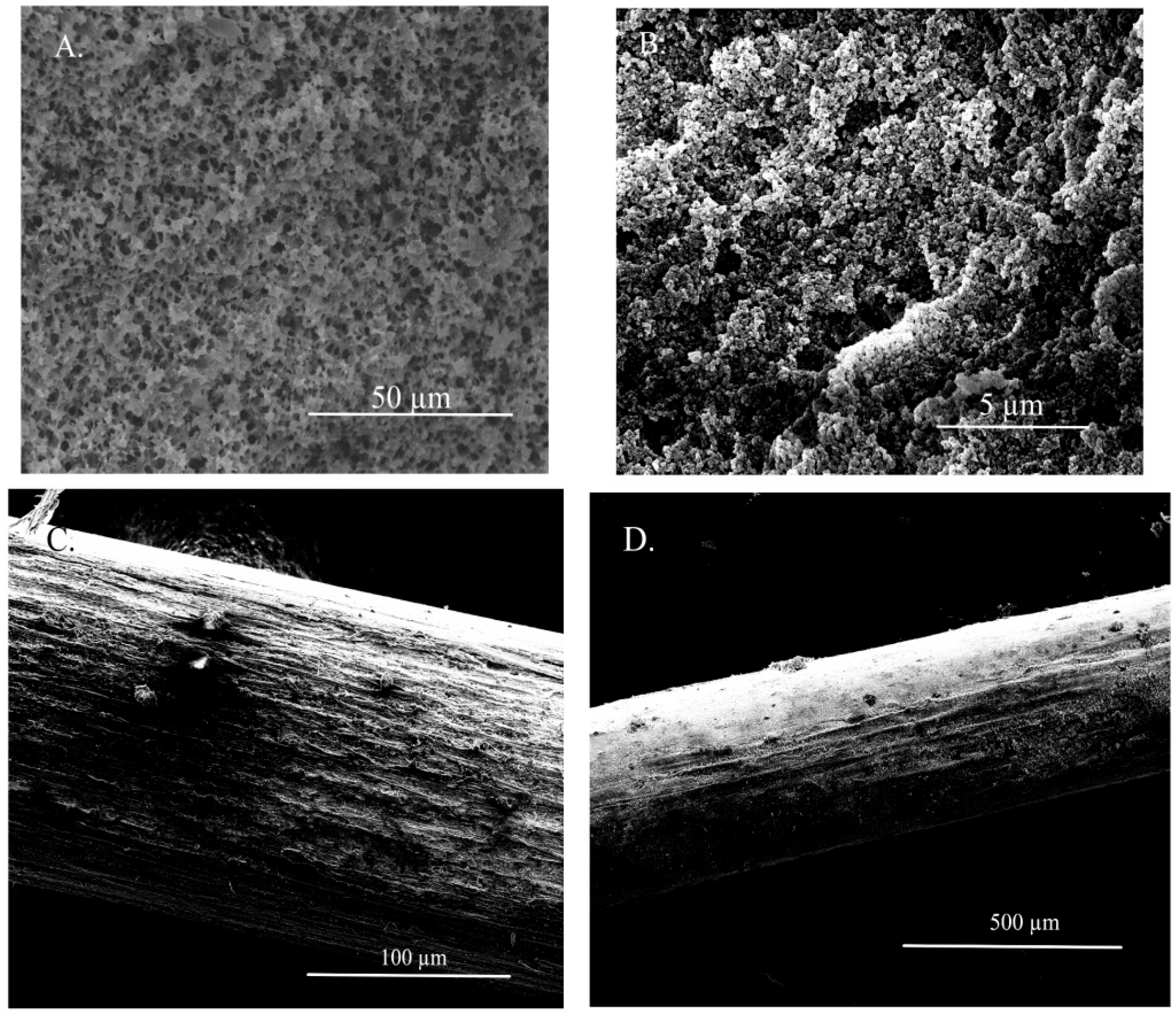Molecules 27 04688 g002