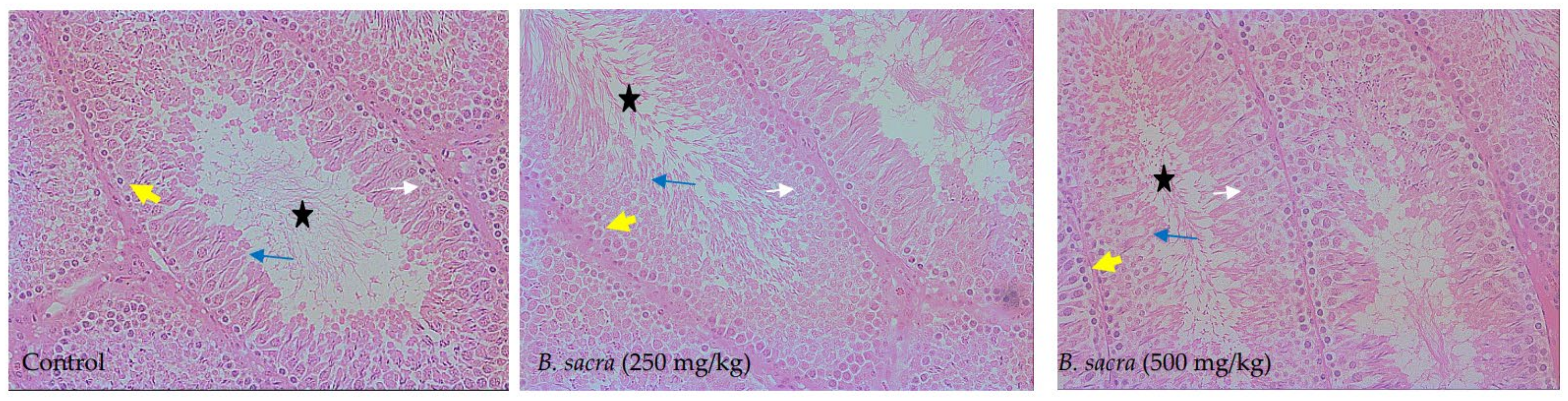 Molecules 27 04699 g007 550