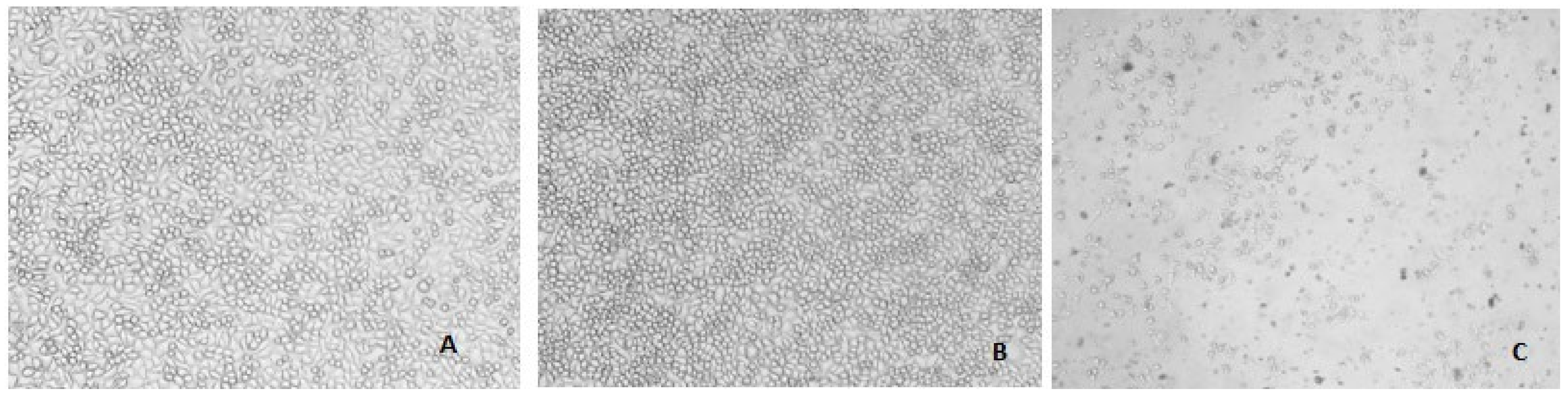 Molecules 27 04699 g008 550