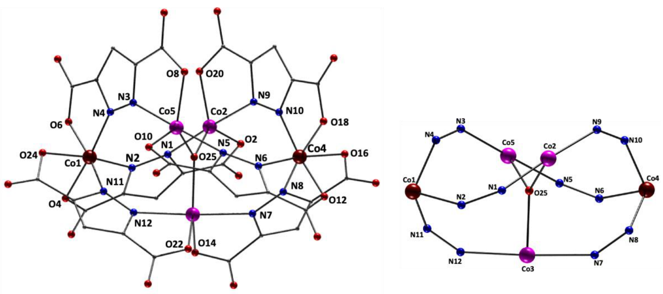 Molecules 27 04701 g003 Molecules 27 04701 g003