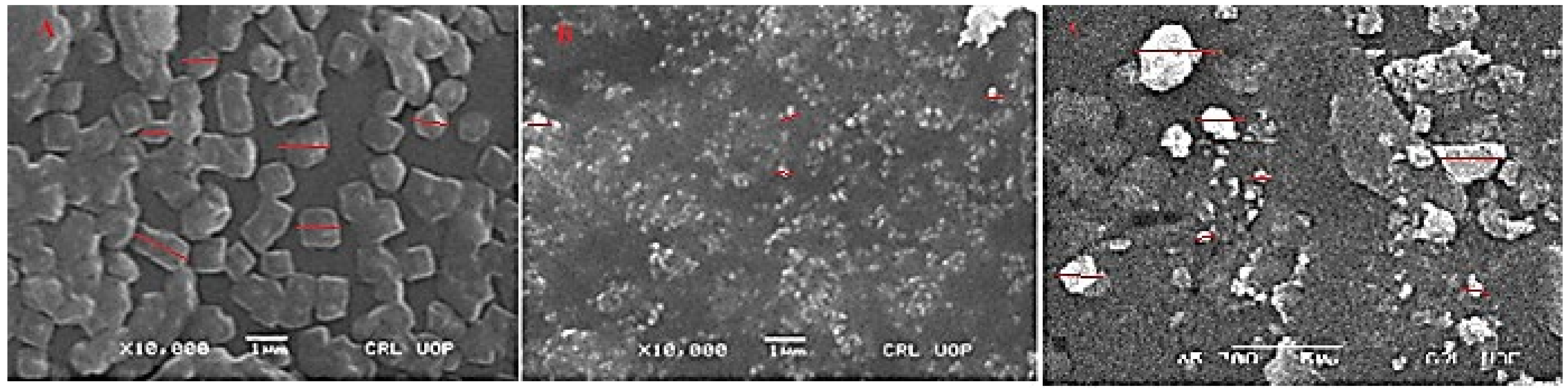 Molecules 27 04707 g008