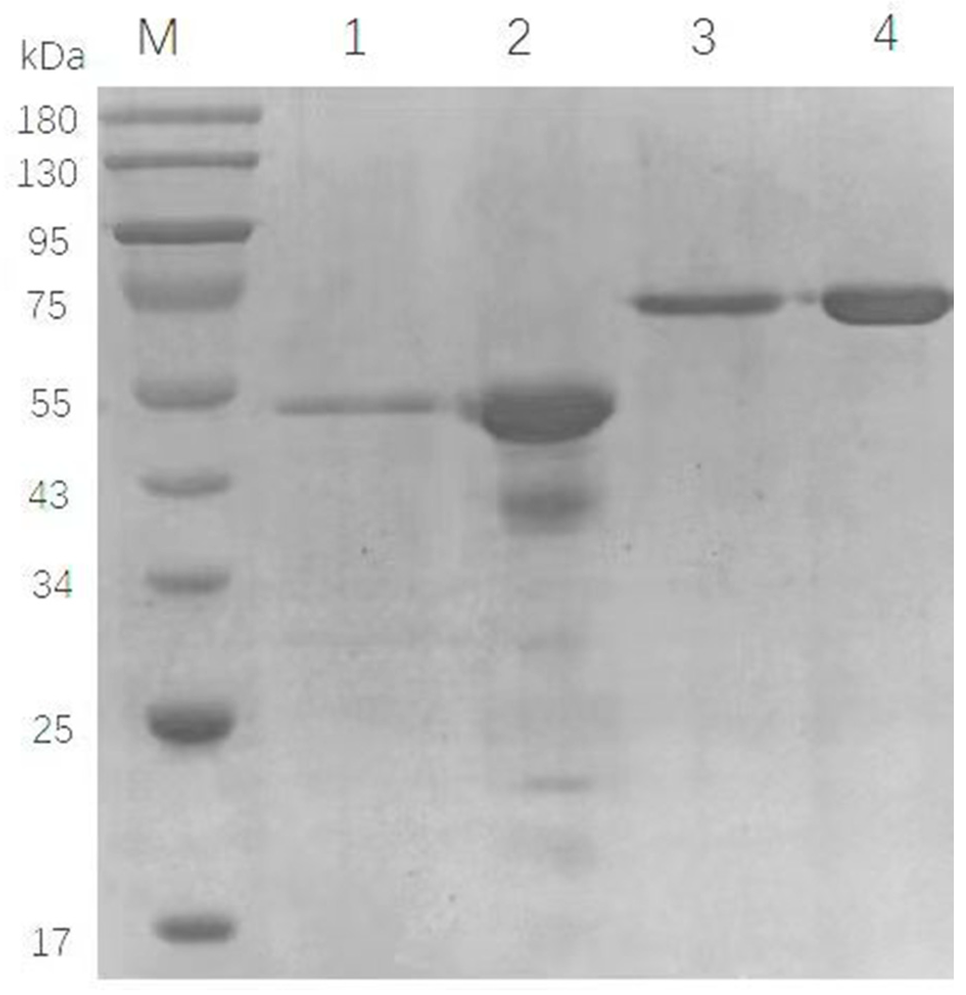 Molecules 27 04720 g001 550