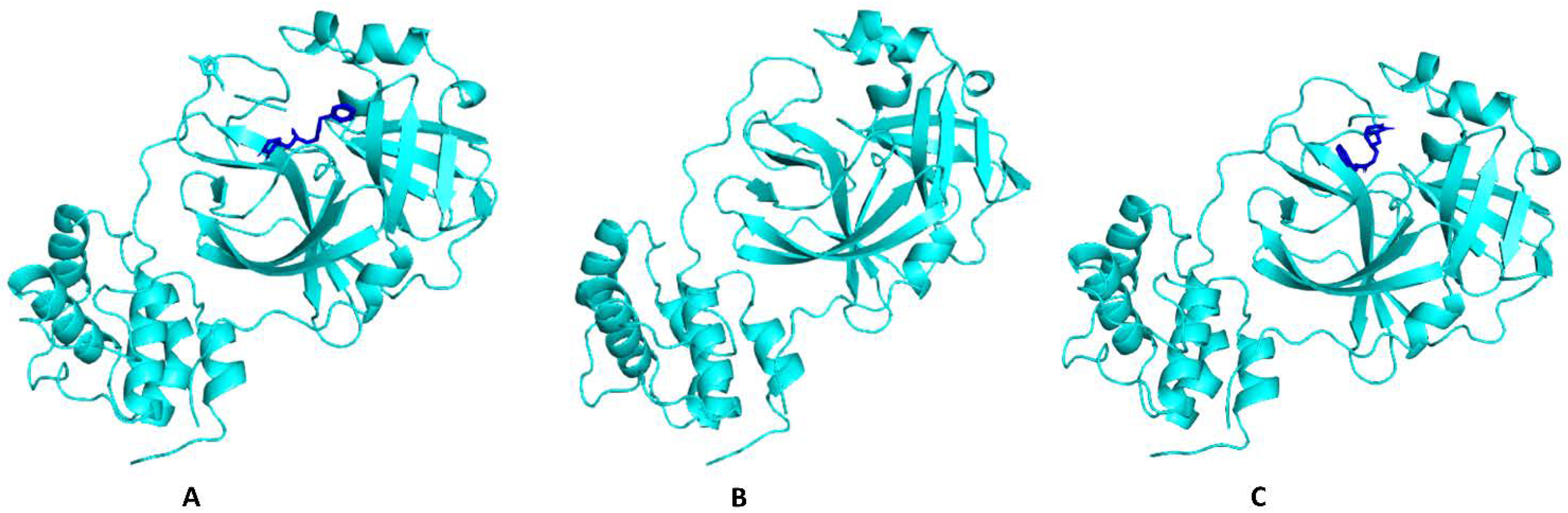 Molecules 27 04739 g008