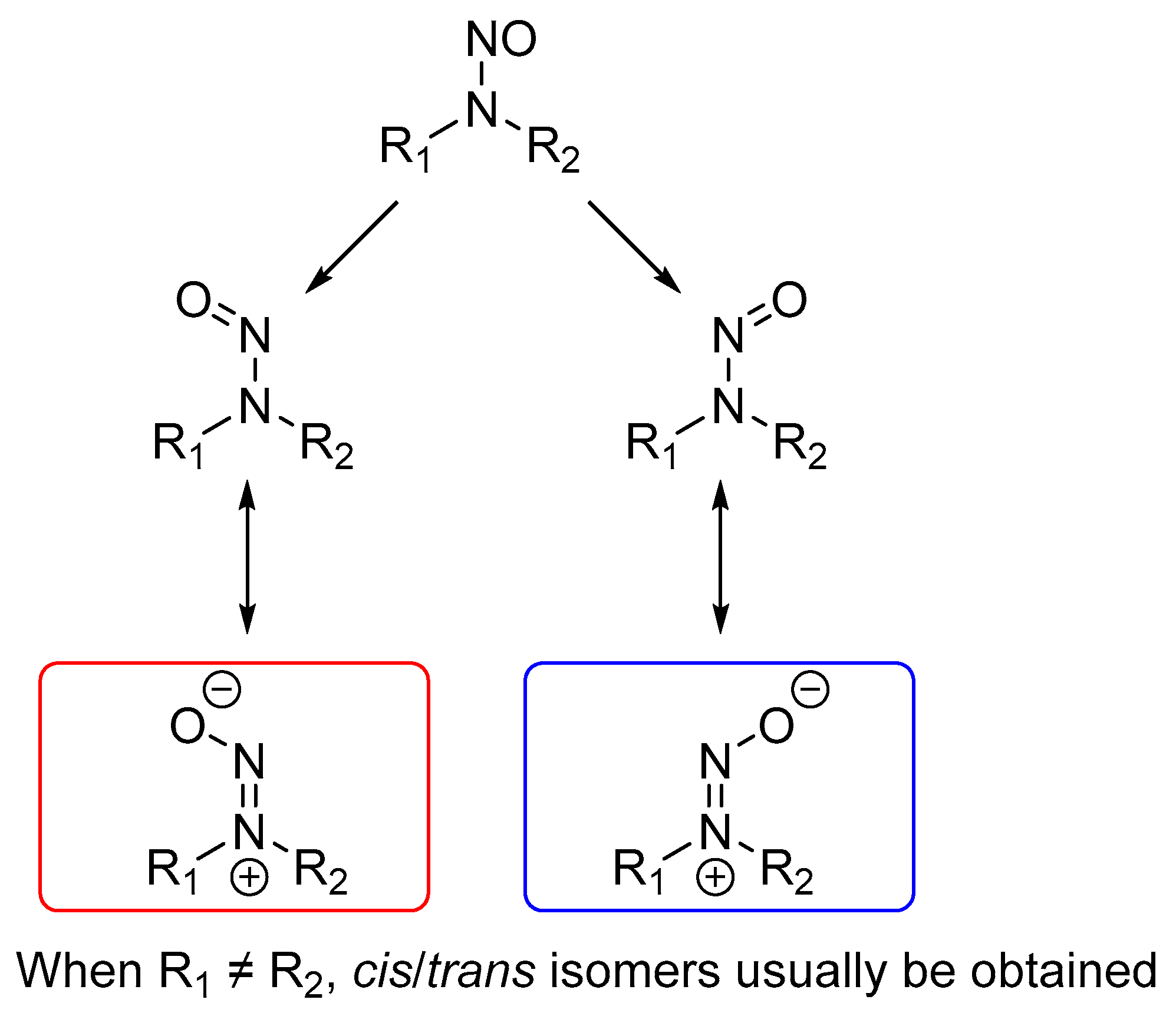 Molecules 27 04749 g002 550