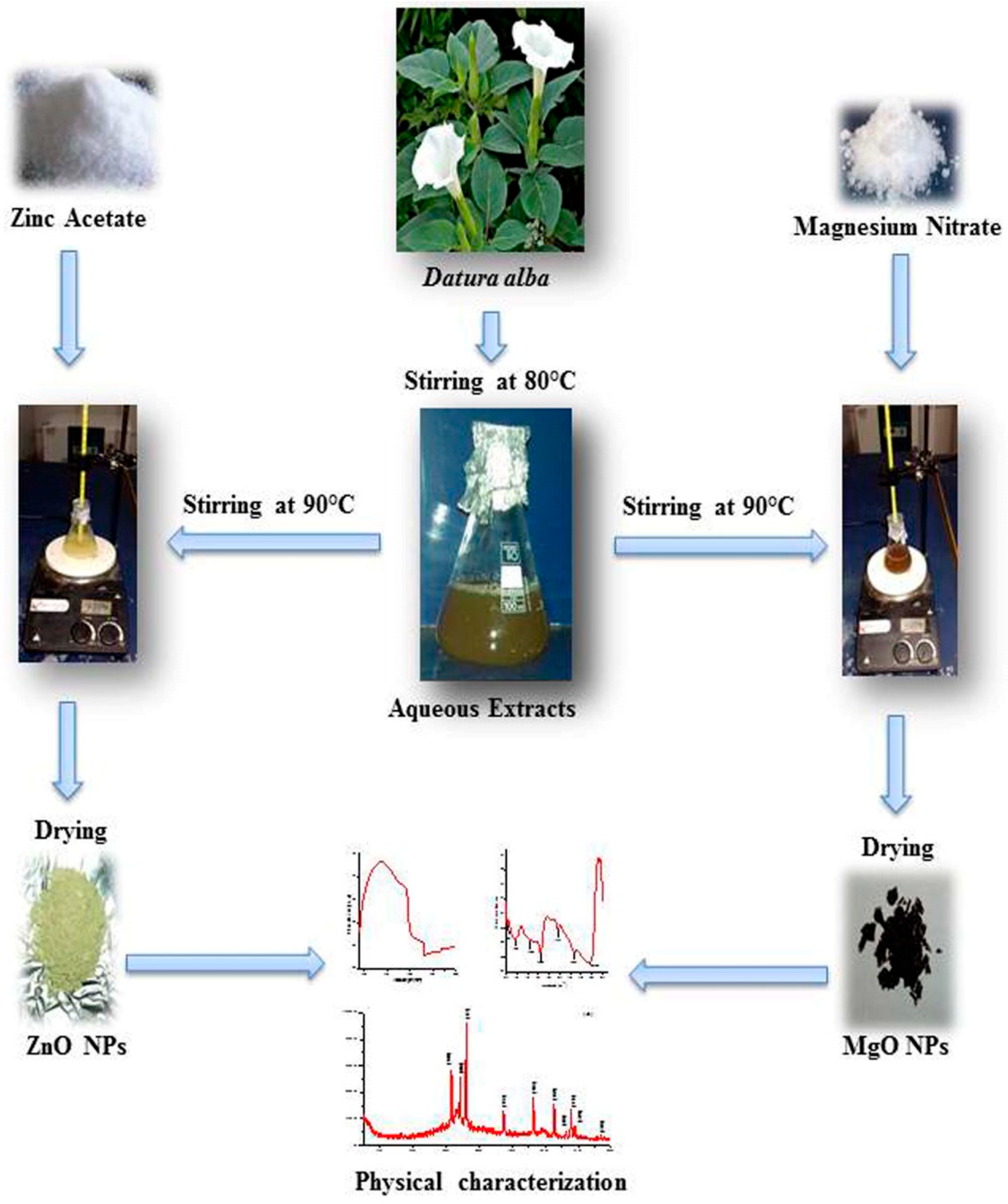 Molecules 27 04753 g011