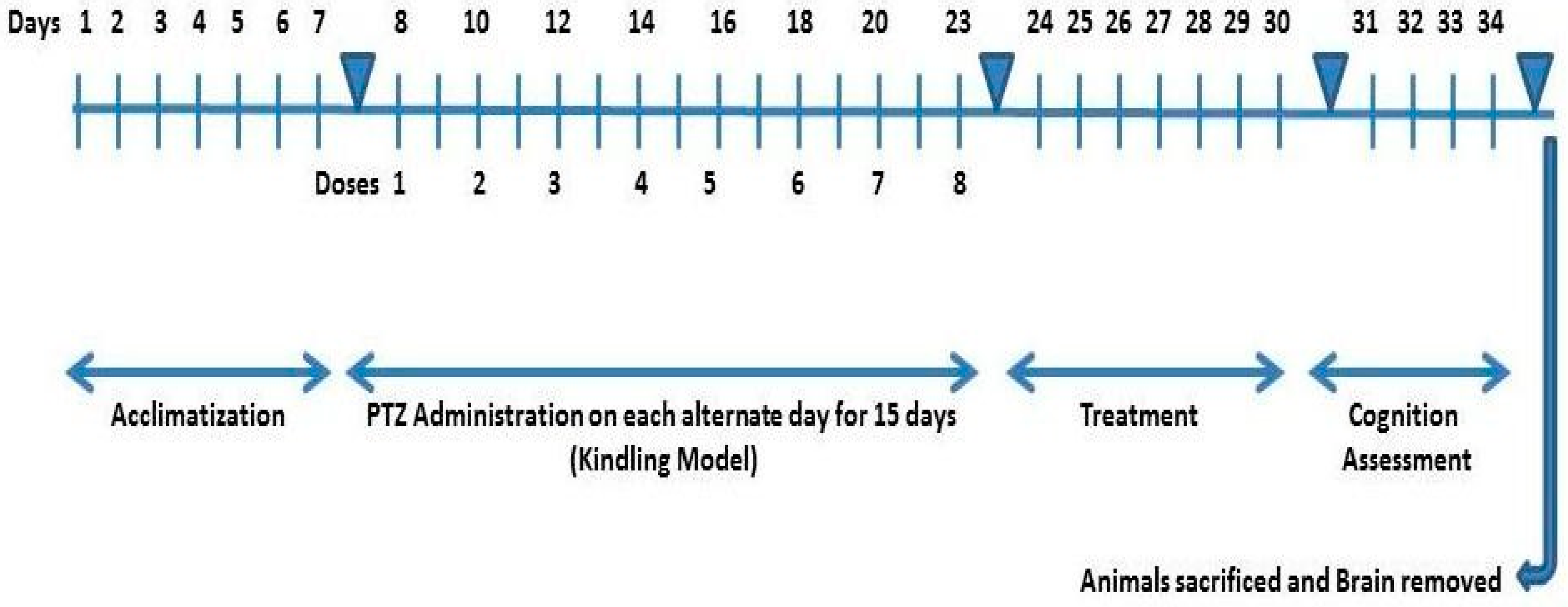Molecules 27 04753 g012