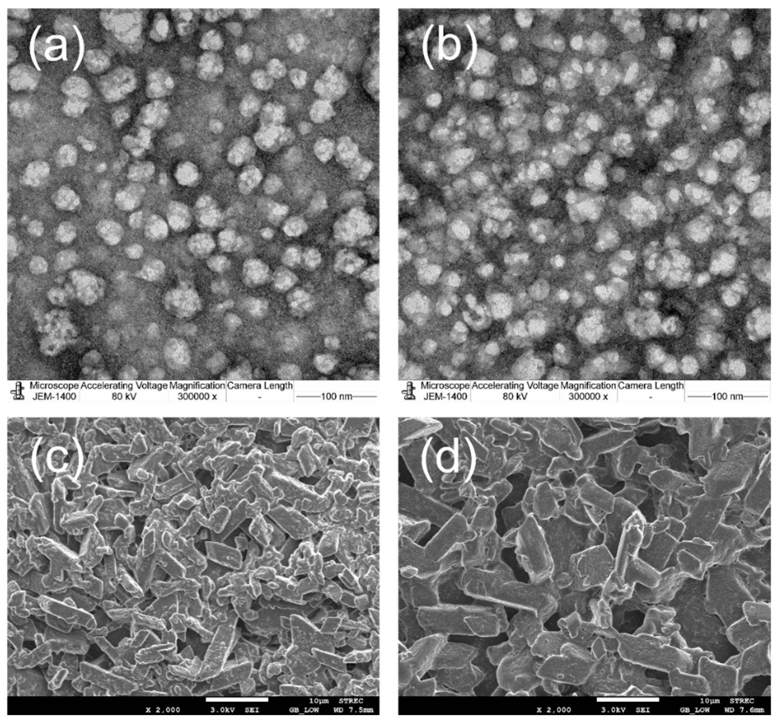 Molecules 27 04755 g007 550