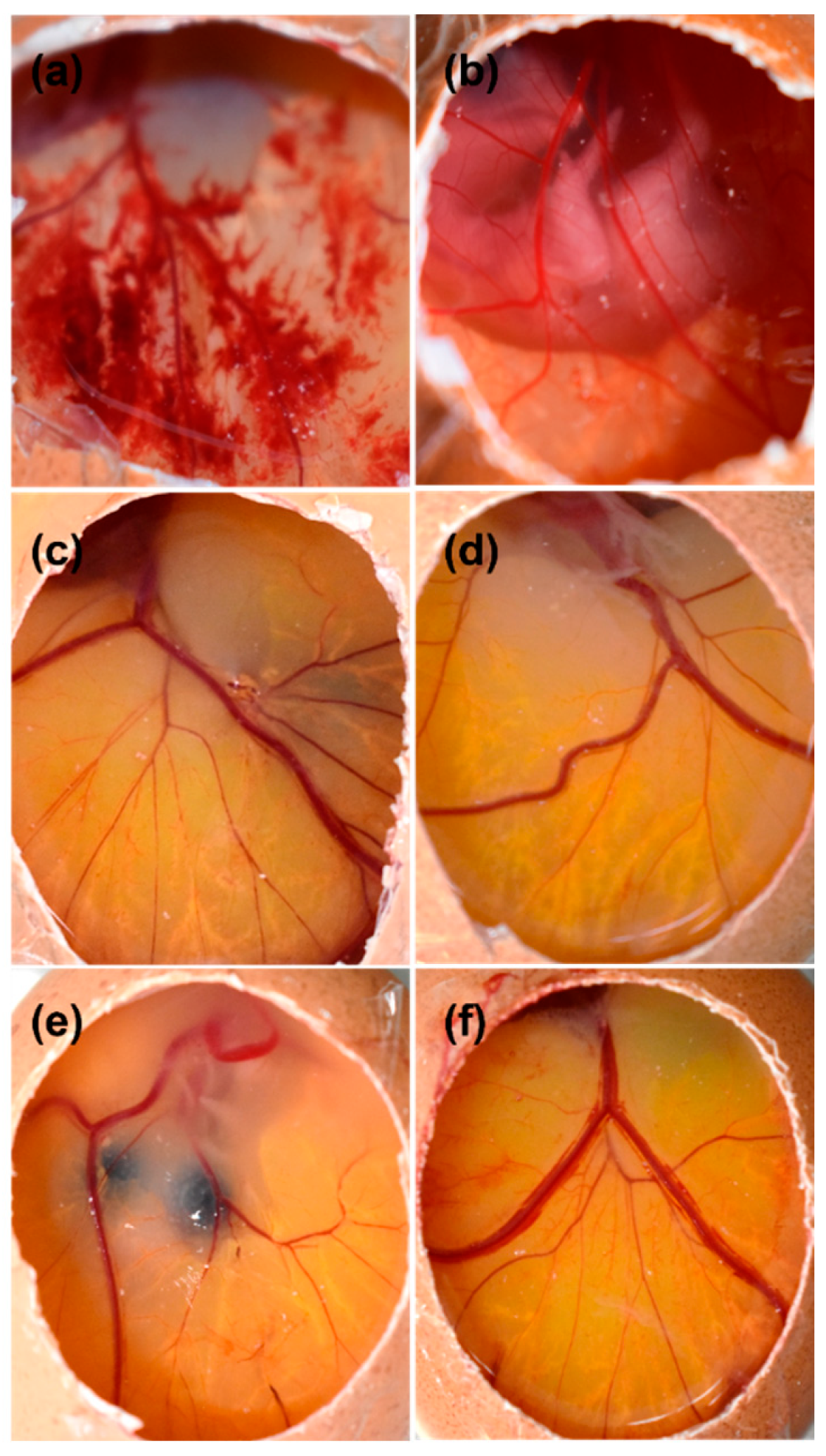 Molecules 27 04755 g009 550