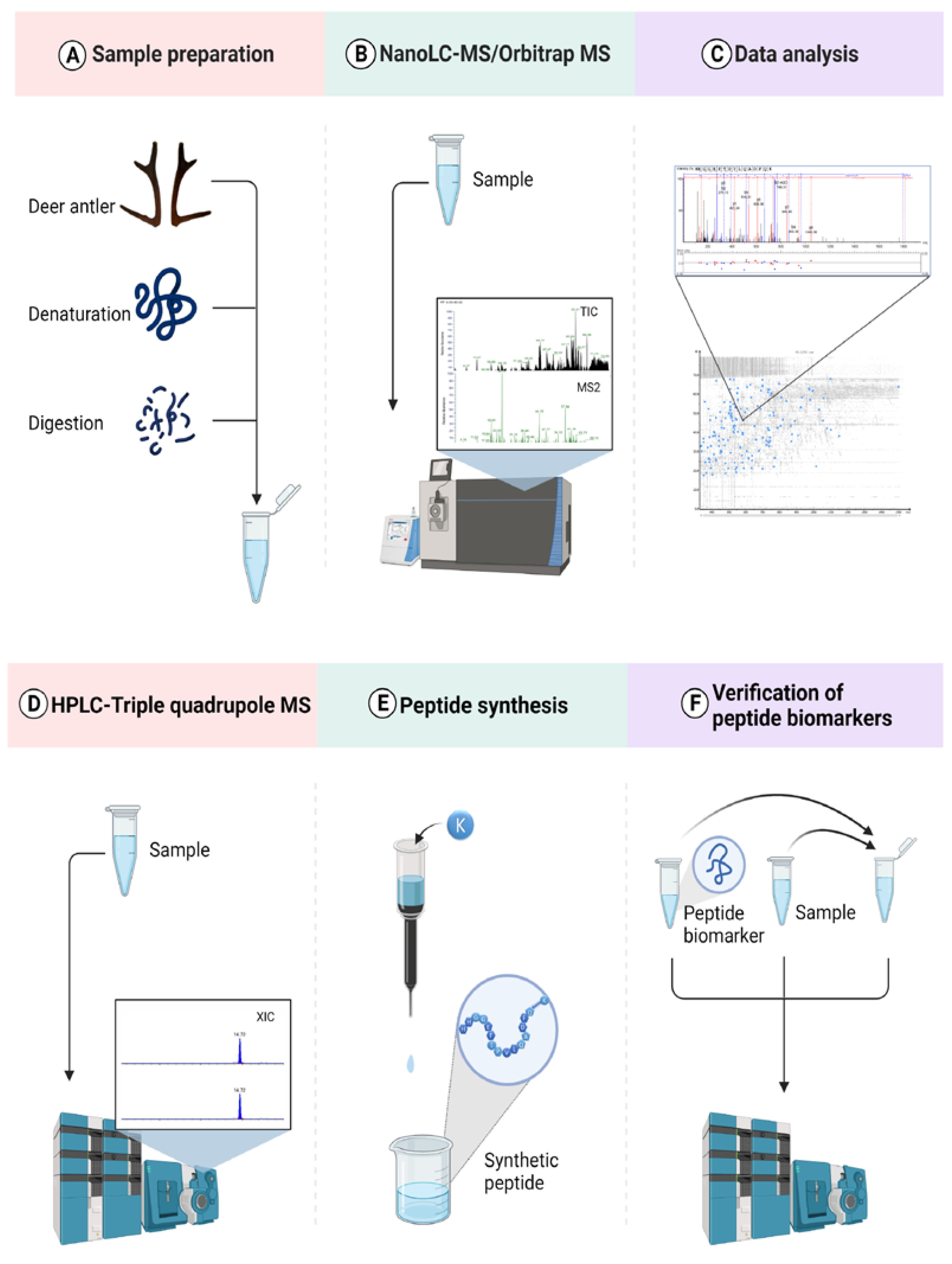 Molecules 27 04756 g001