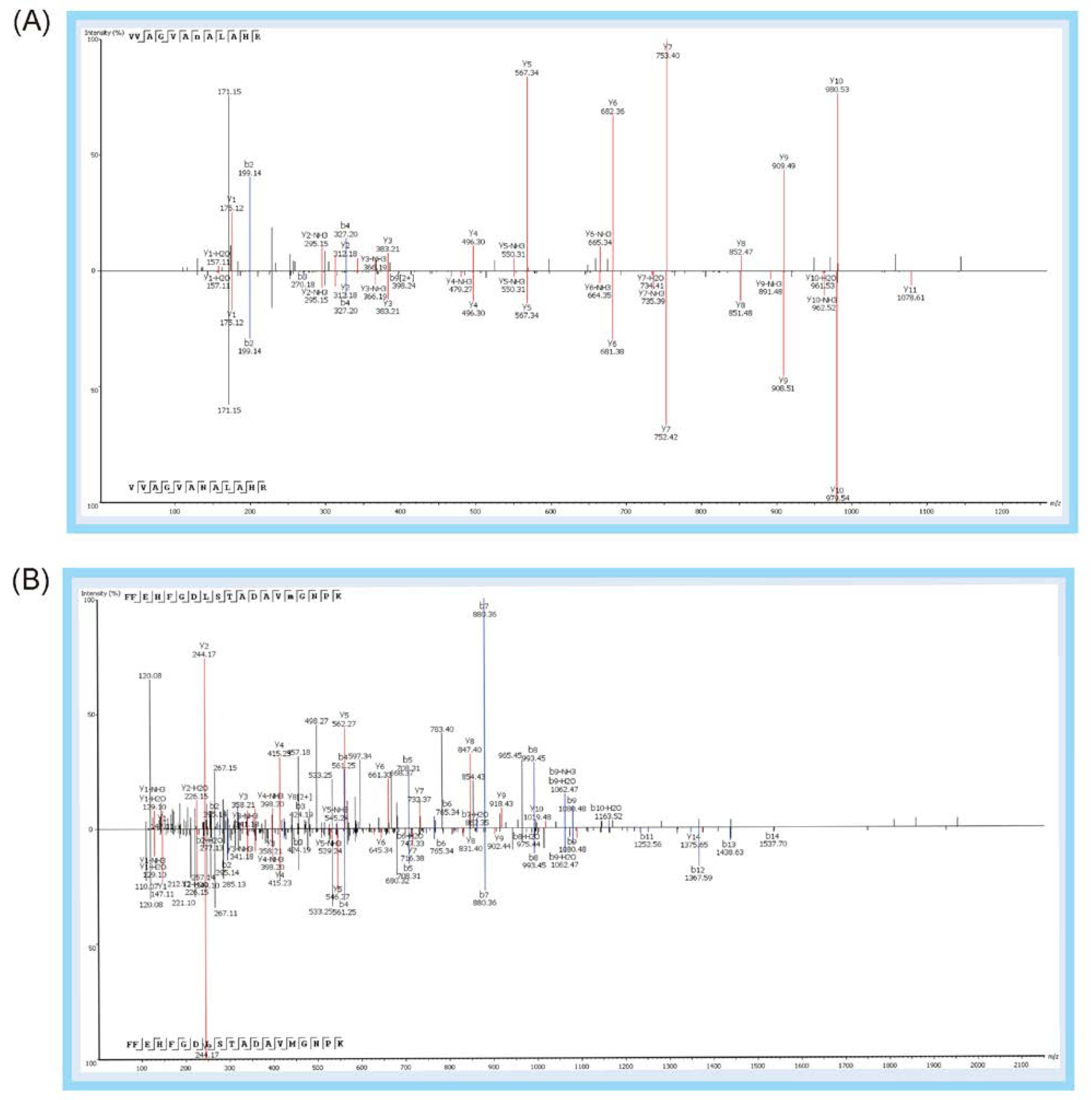 Molecules 27 04756 g007a