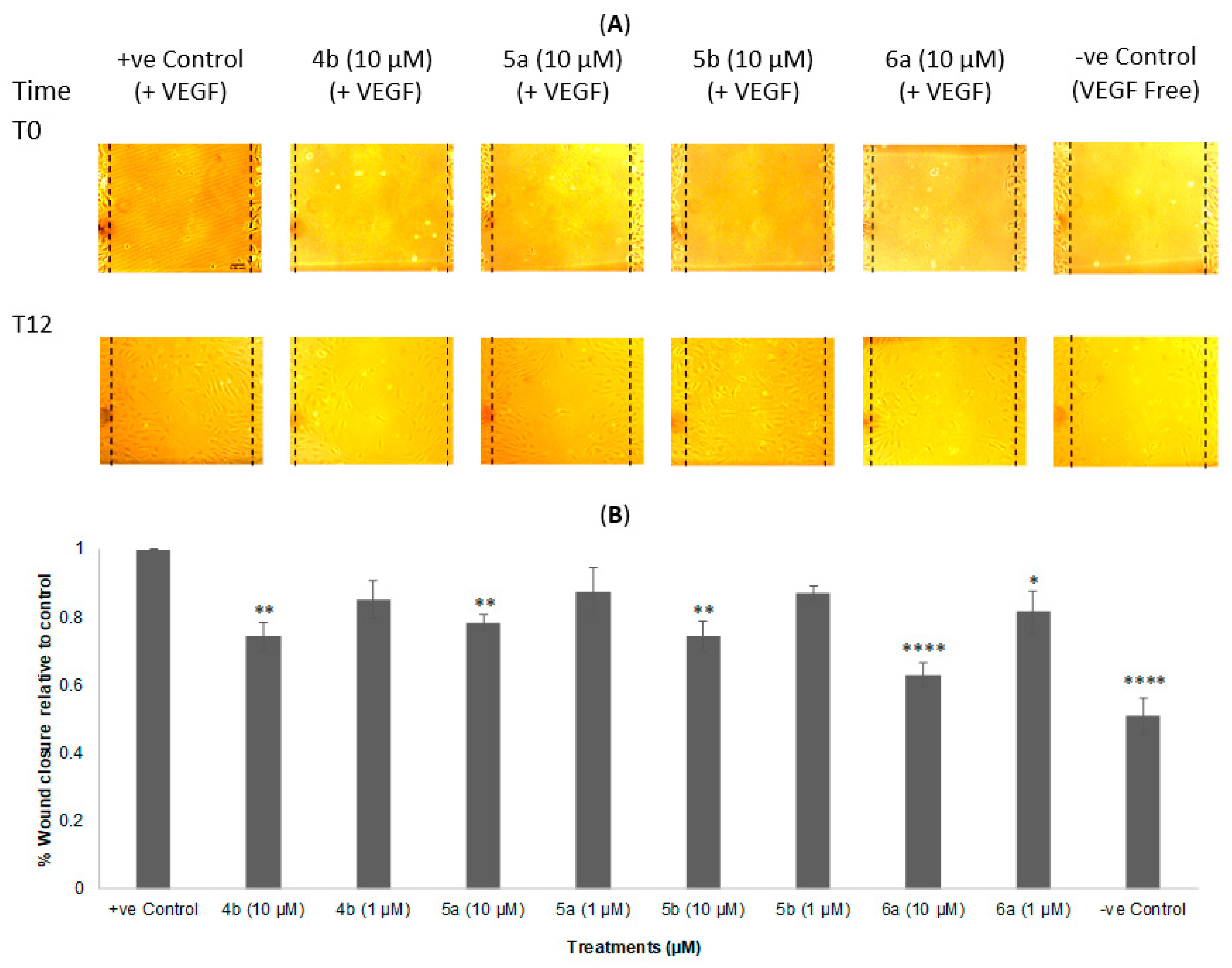 Molecules 27 04757 g003 Molecules 27 04757 g003