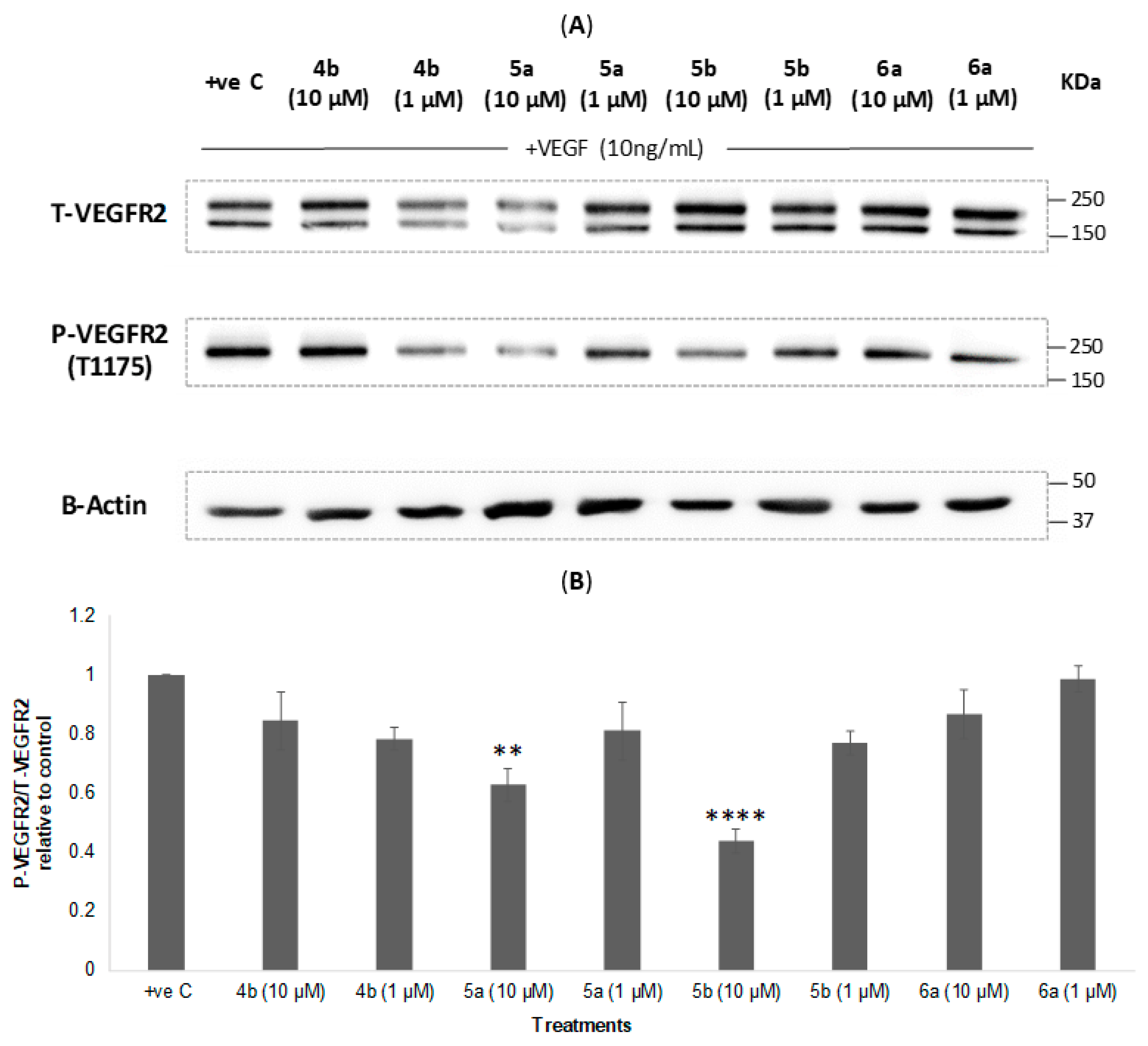 Molecules 27 04757 g004 Molecules 27 04757 g004