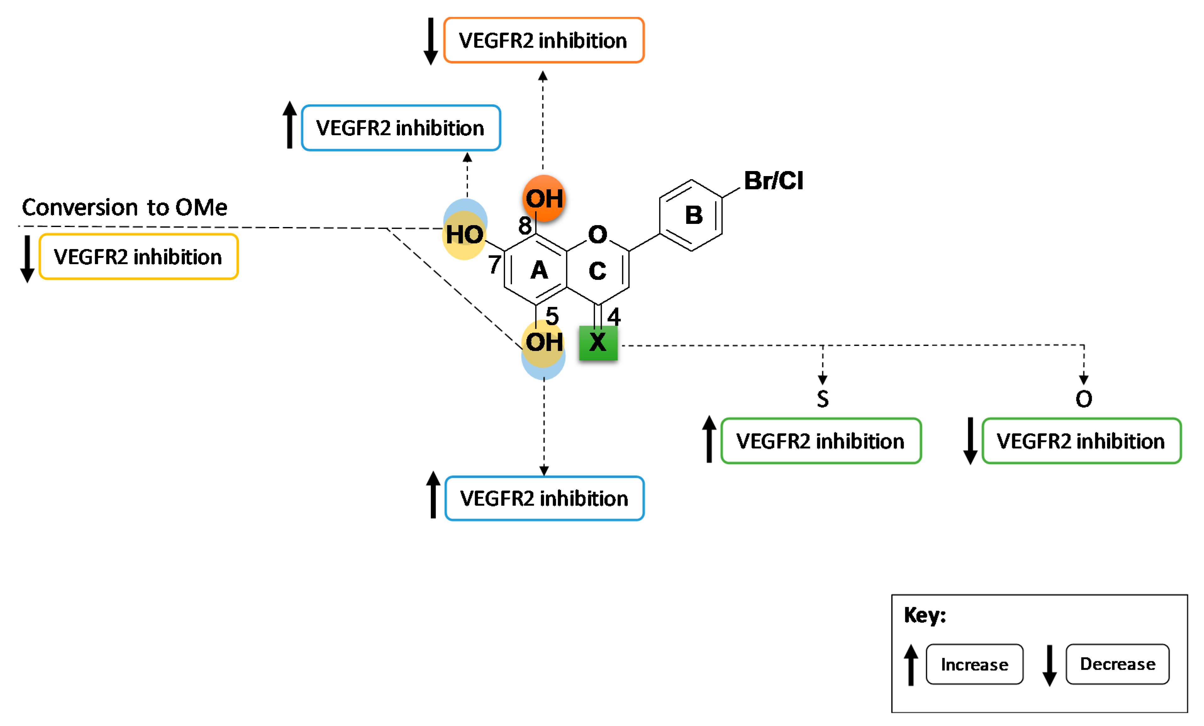Molecules 27 04757 g005 Molecules 27 04757 g005