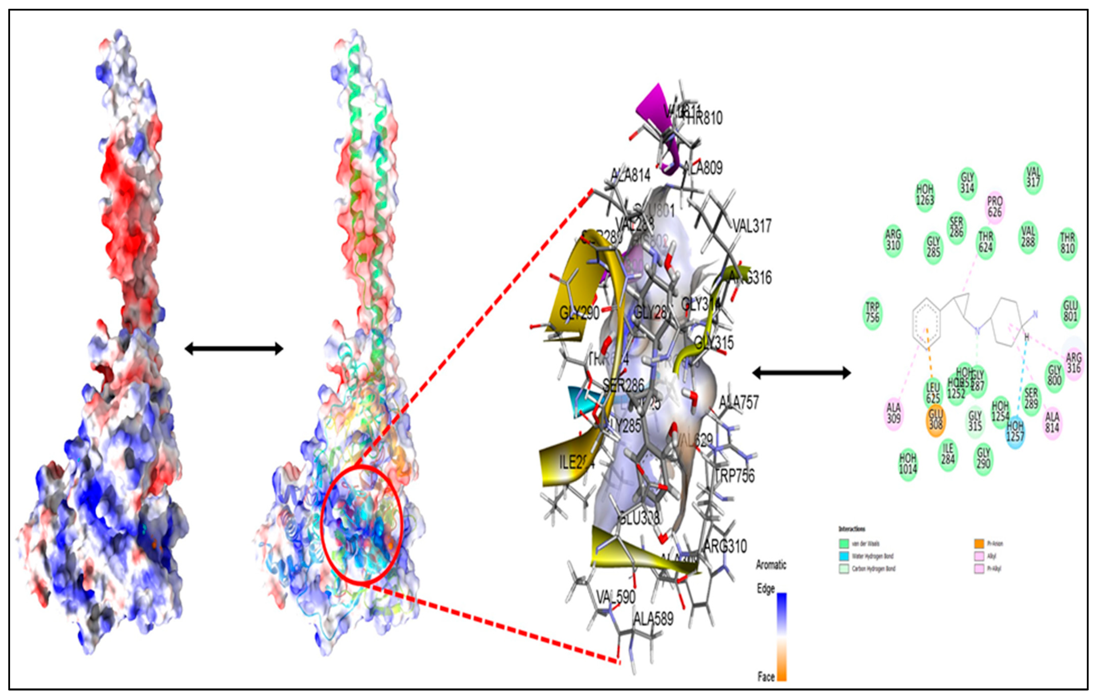 Molecules 27 04758 g014 550