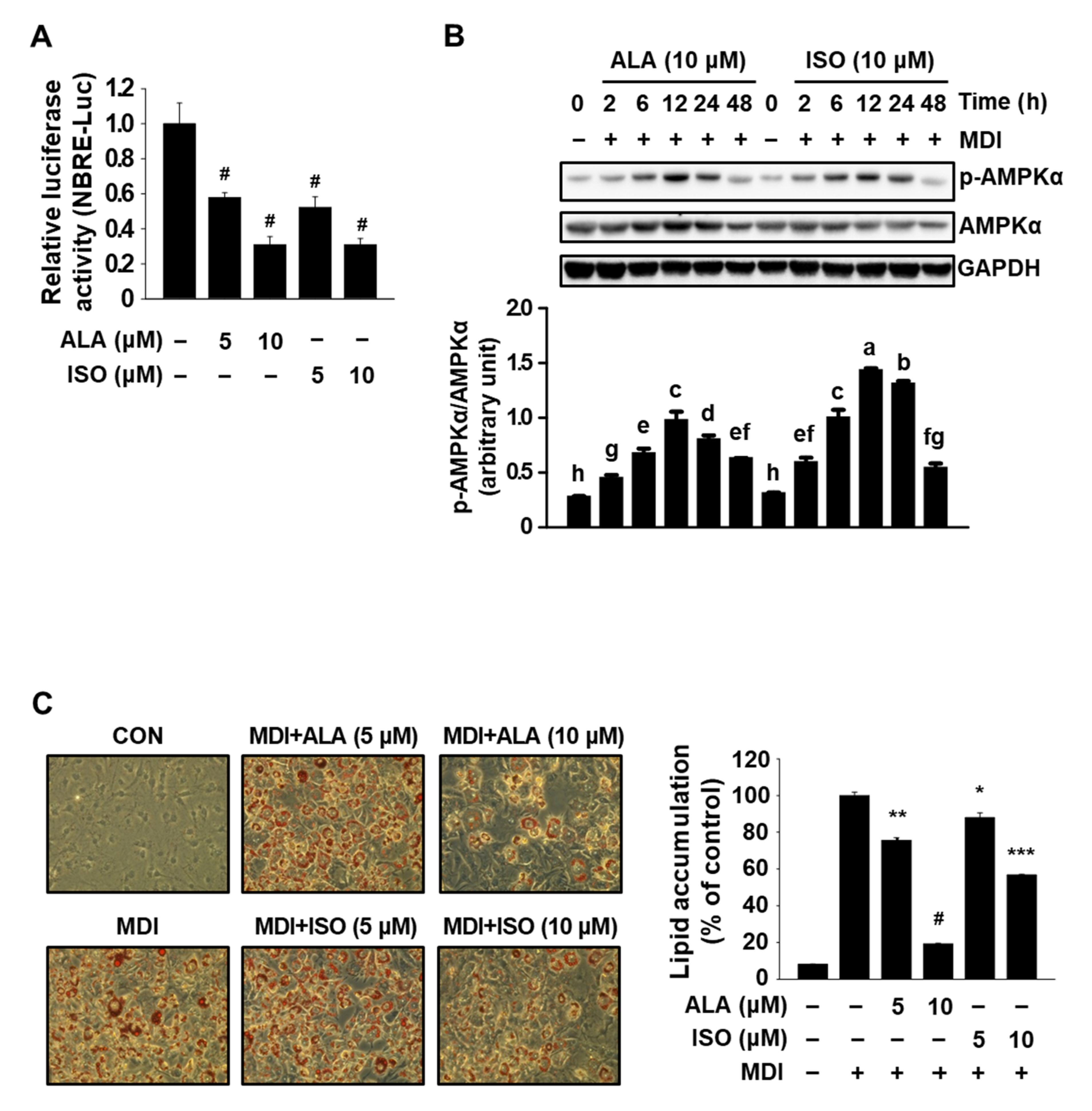 Molecules 27 04765 g001 550