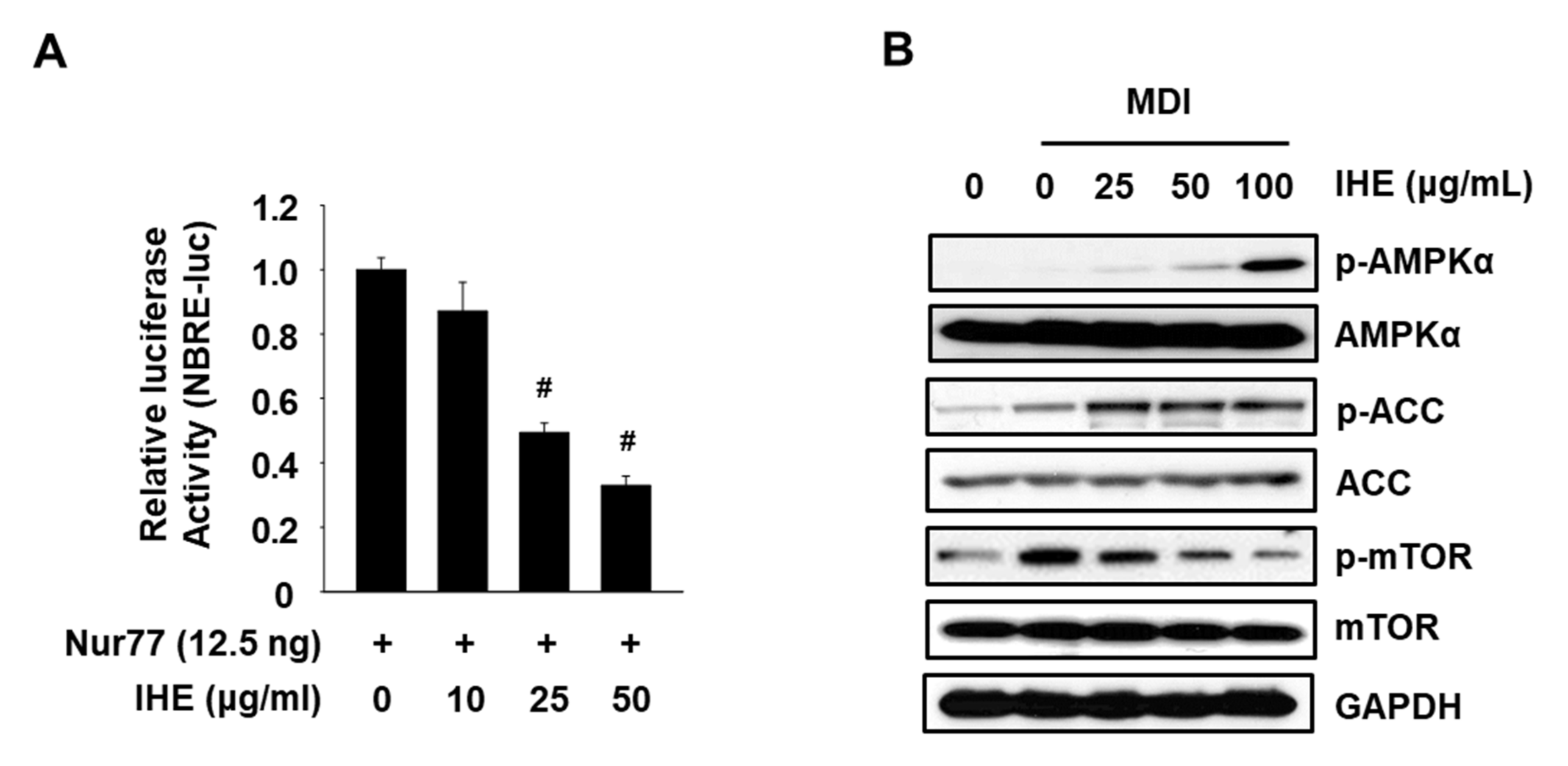 Molecules 27 04765 g003 550