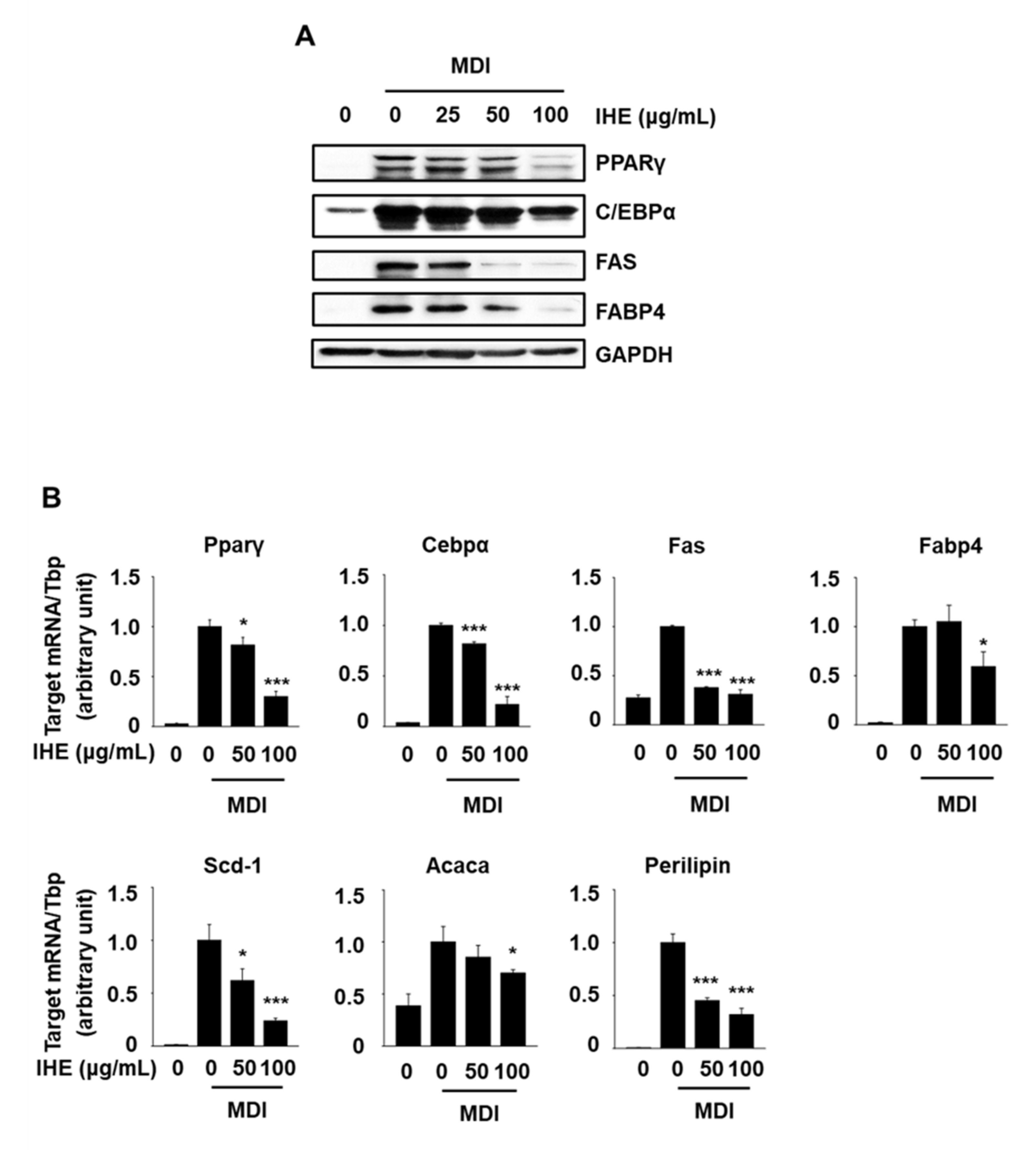 Molecules 27 04765 g005 550