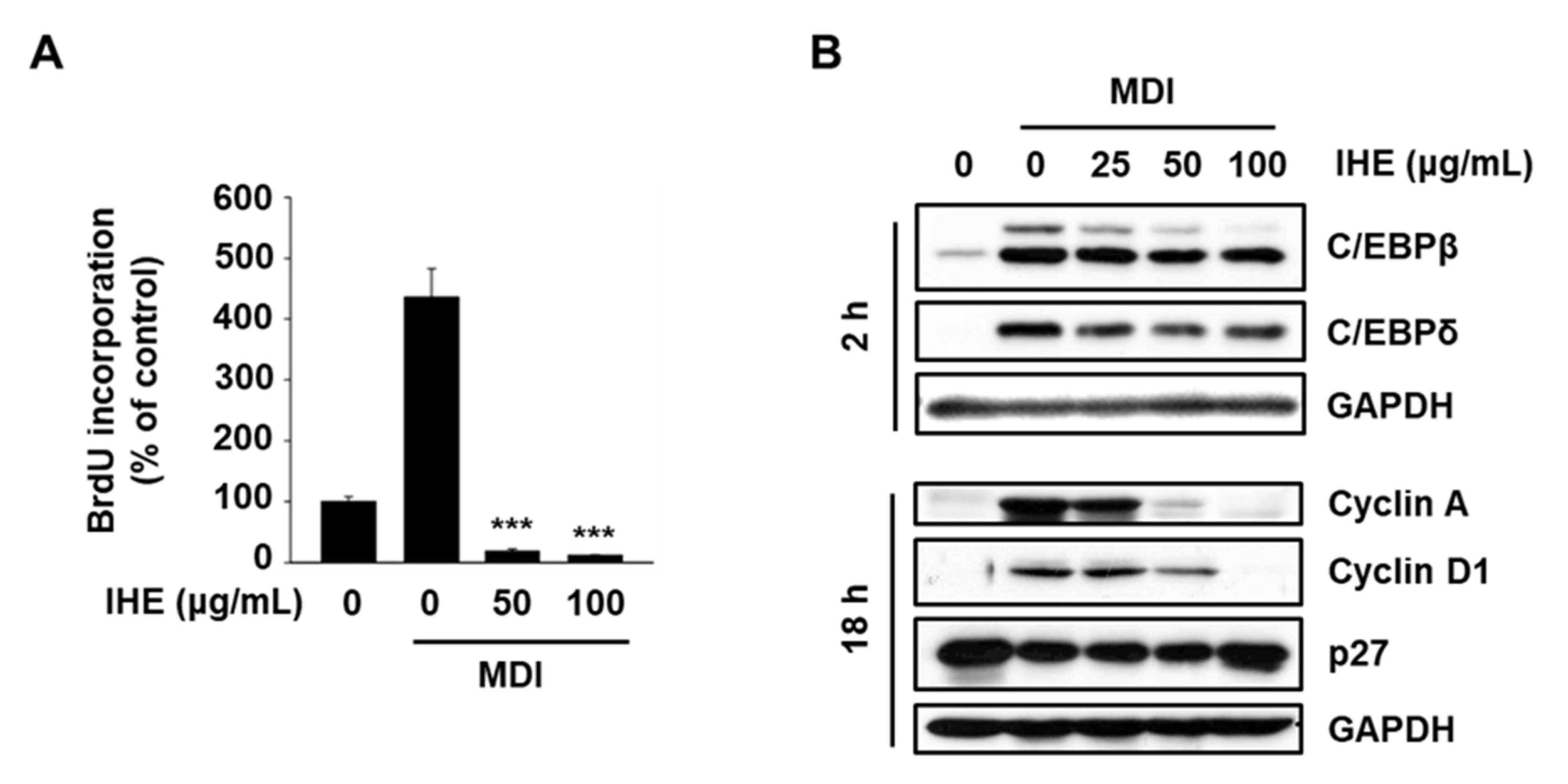 Molecules 27 04765 g006 550