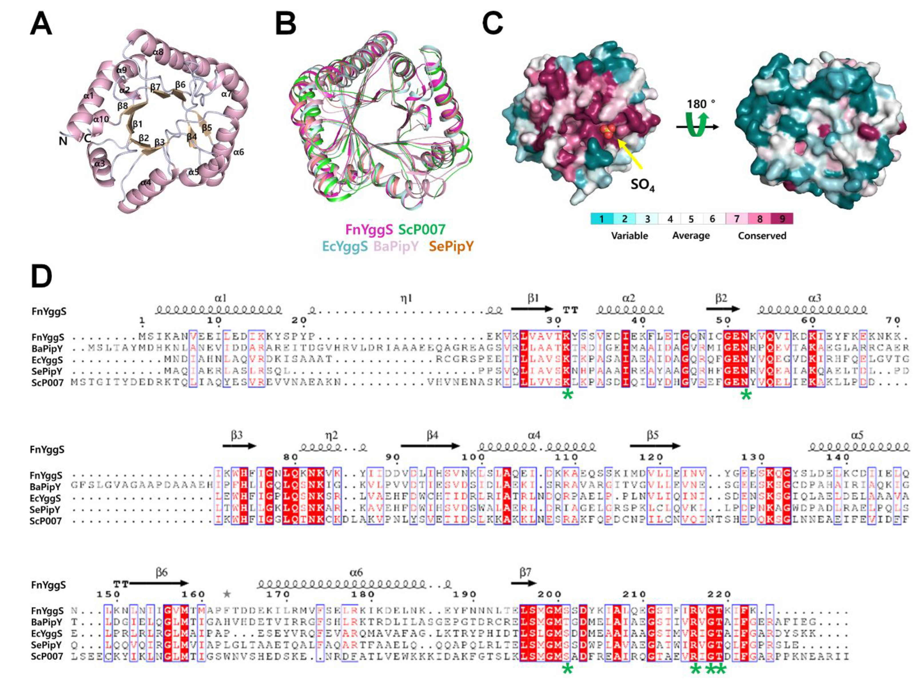 Molecules 27 04781 g002
