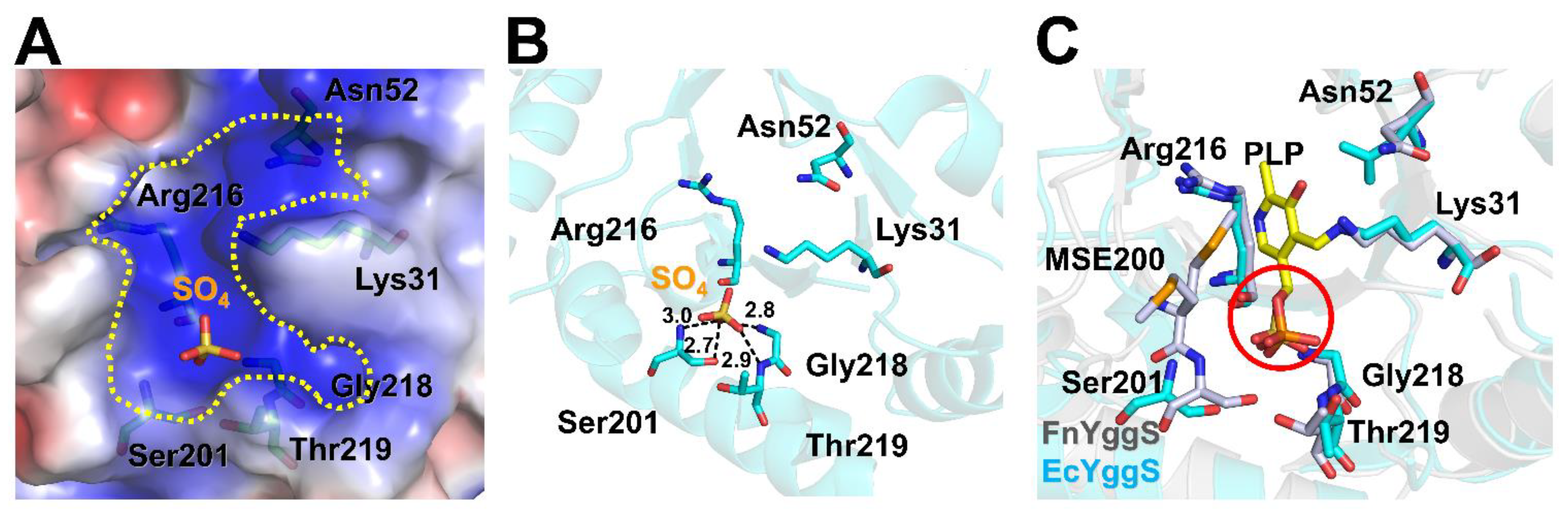 Molecules 27 04781 g003