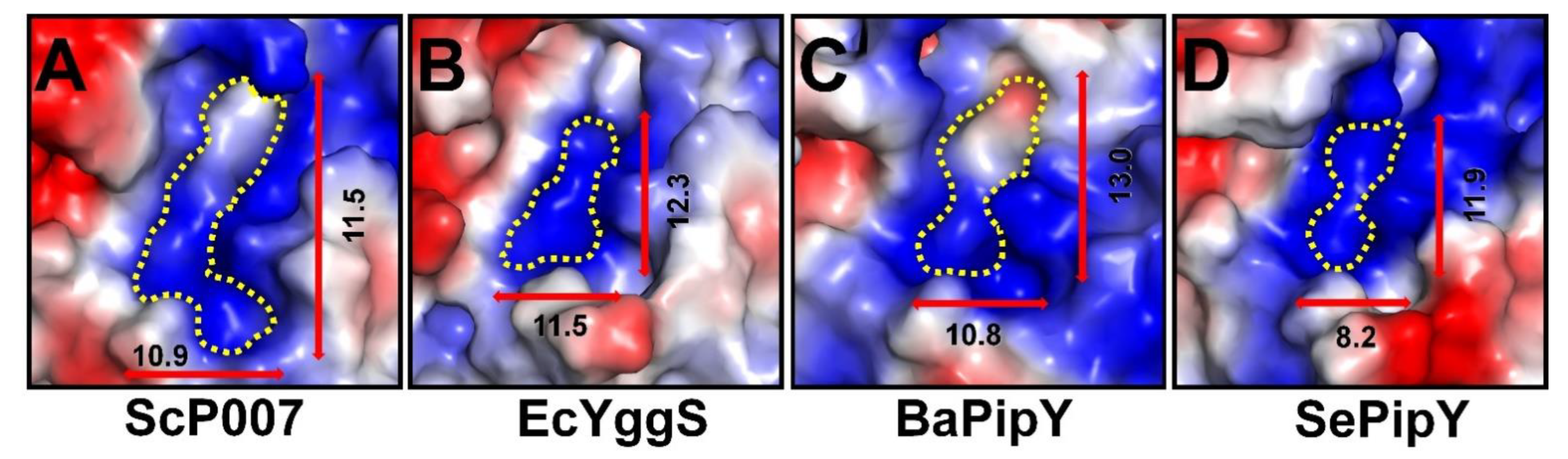 Molecules 27 04781 g005