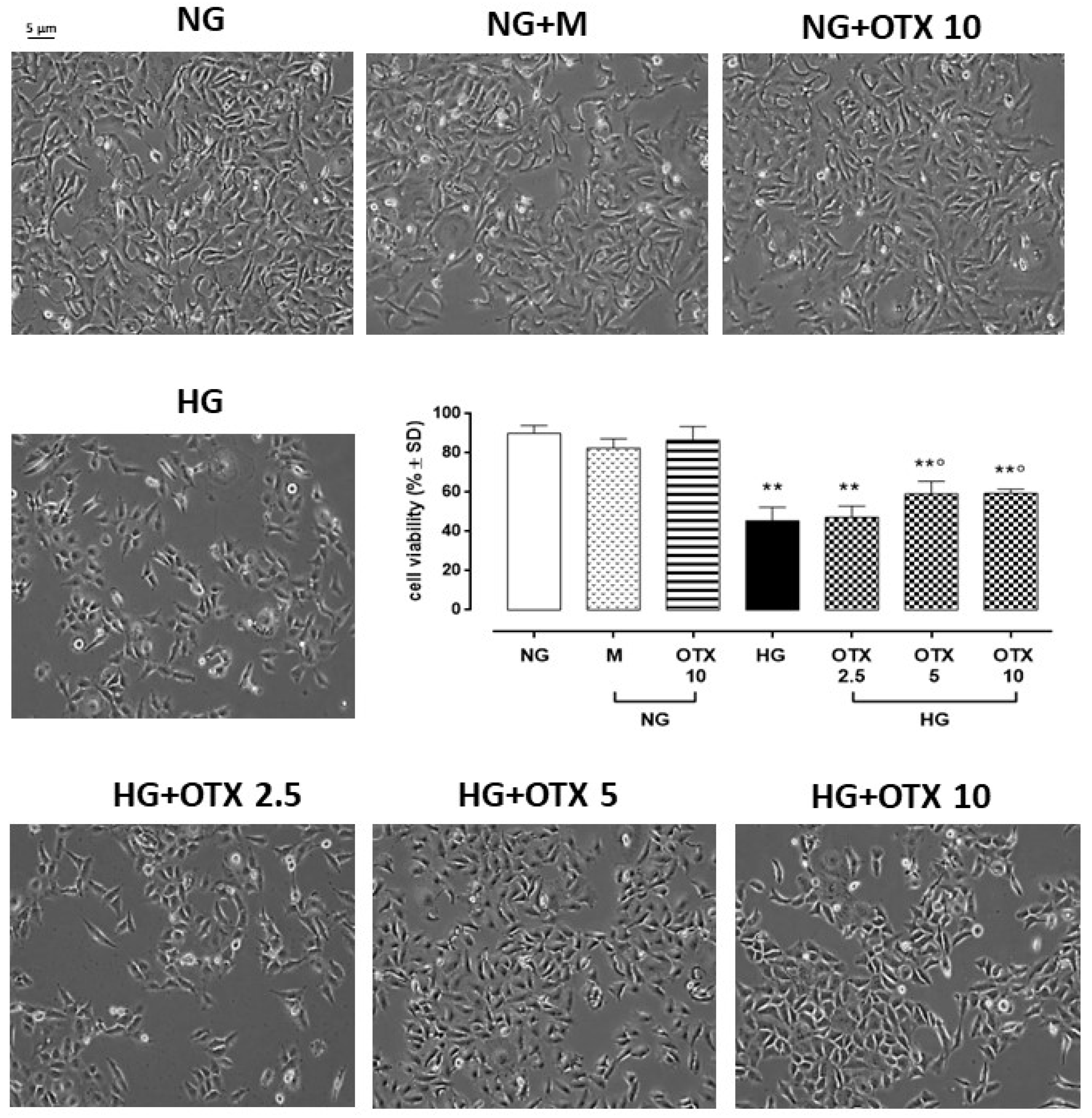 Molecules 27 04785 g001