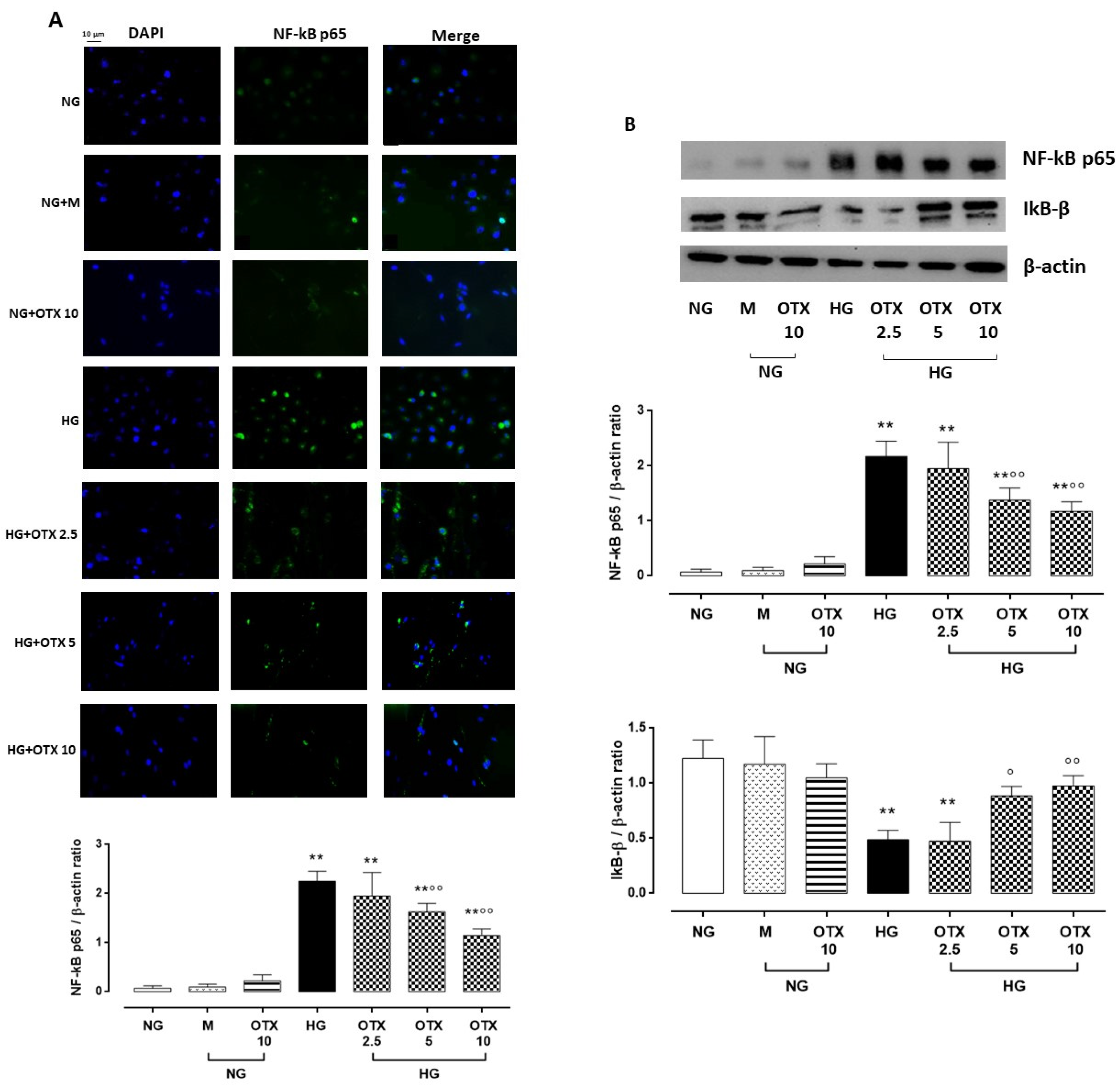 Molecules 27 04785 g005
