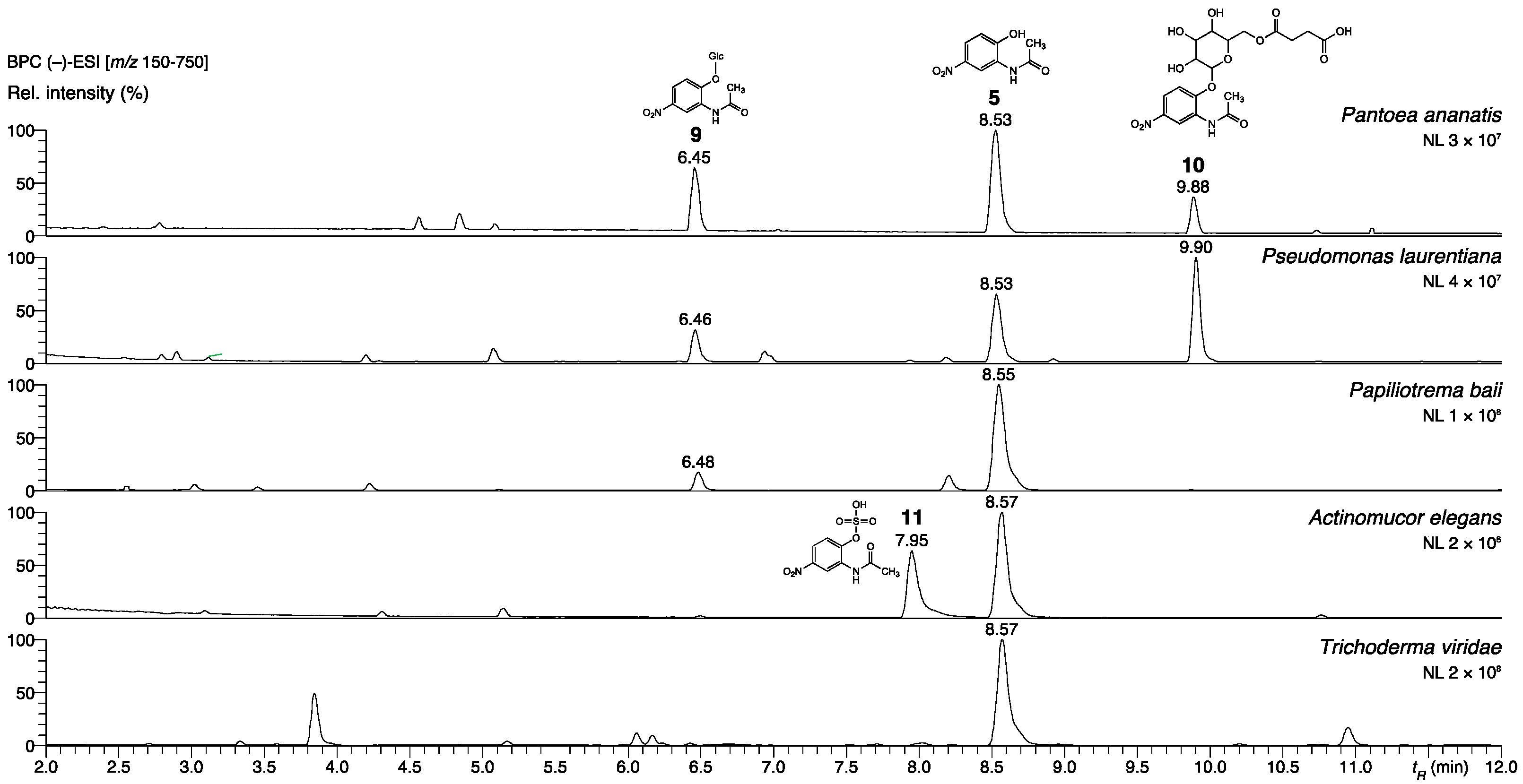 Molecules 27 04786 g005 Molecules 27 04786 g005