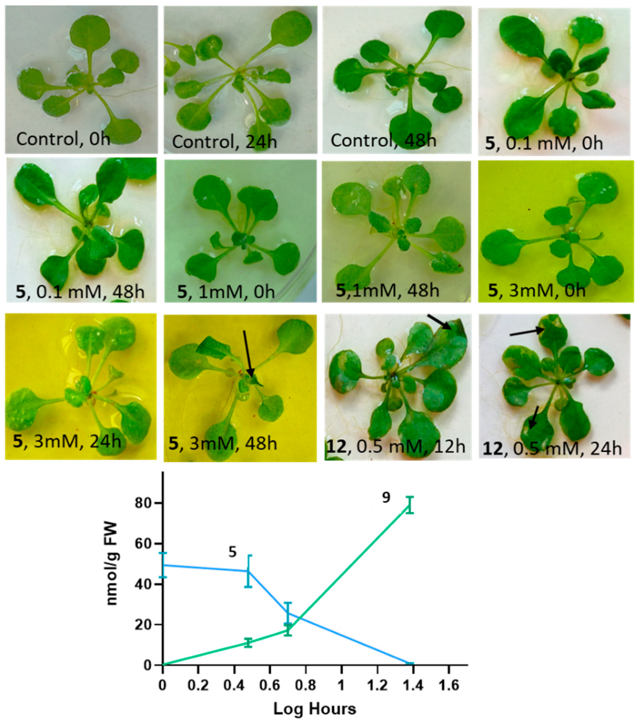 Molecules 27 04786 g008 Molecules 27 04786 g008