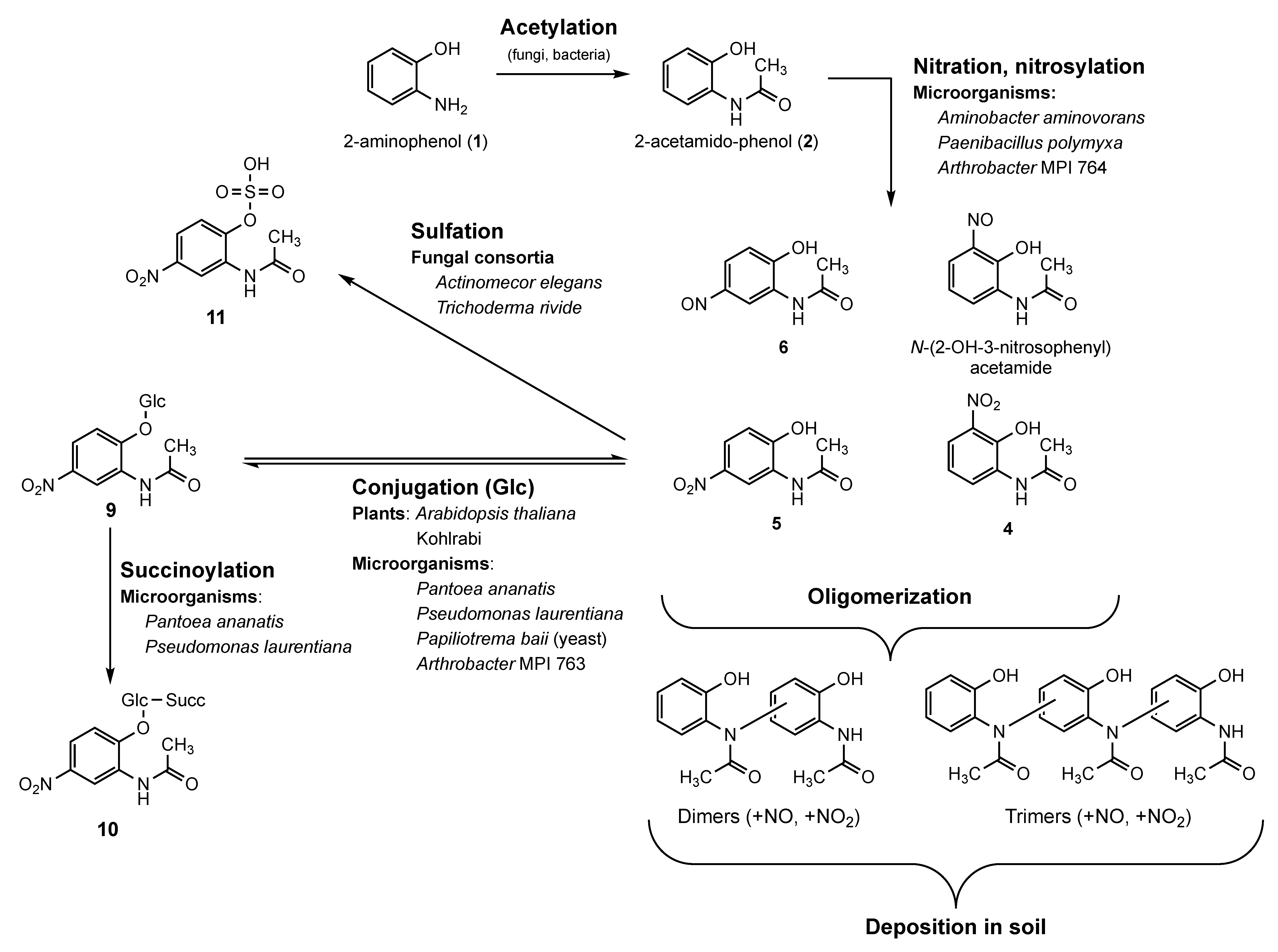 Molecules 27 04786 g010 Molecules 27 04786 g010