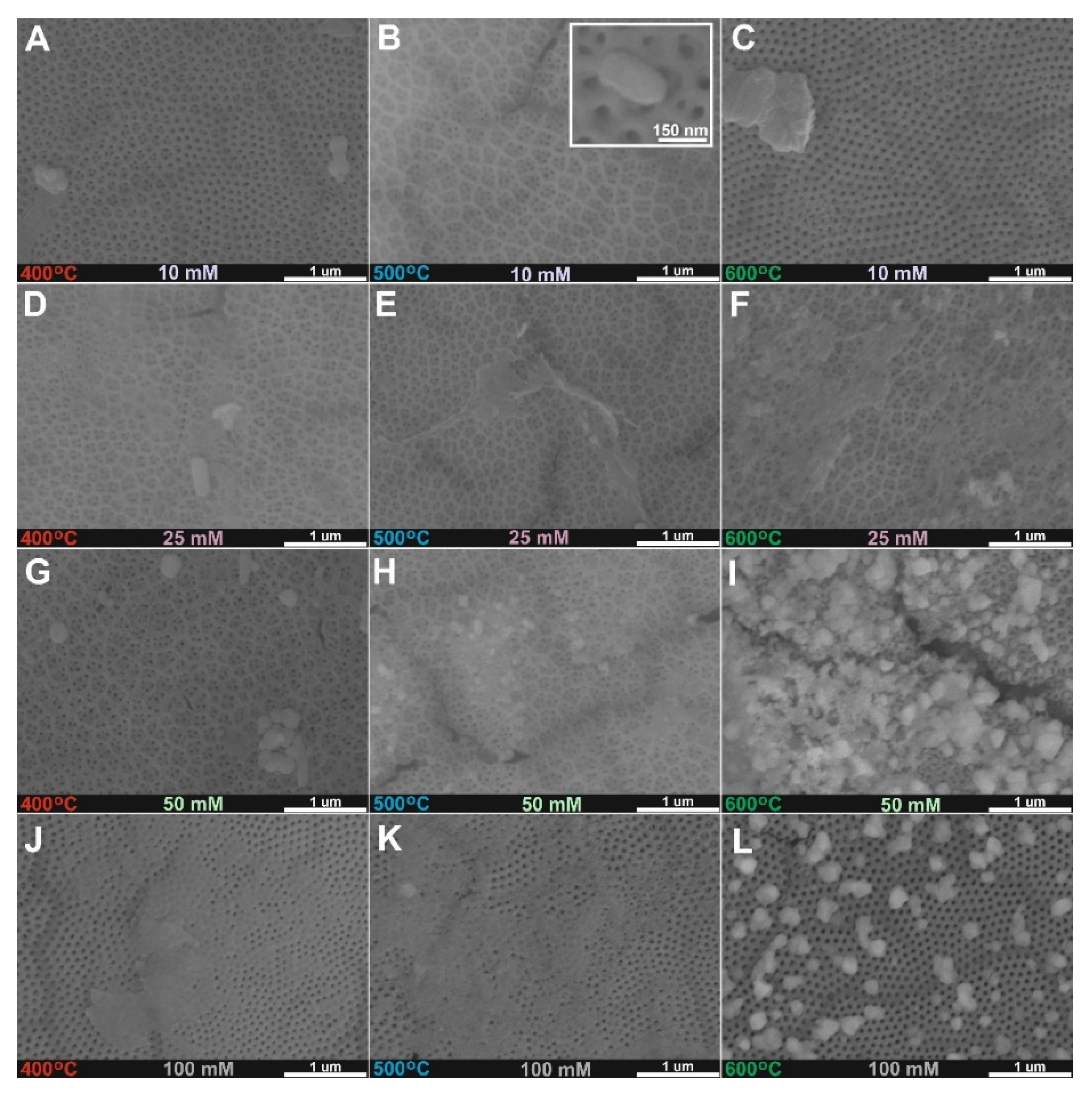 Molecules 27 04789 g001