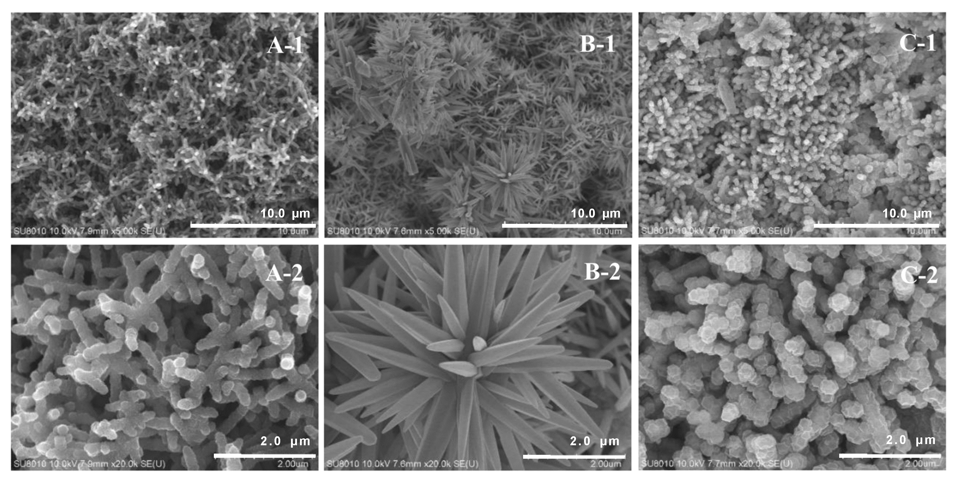 Molecules 27 04795 g006 550