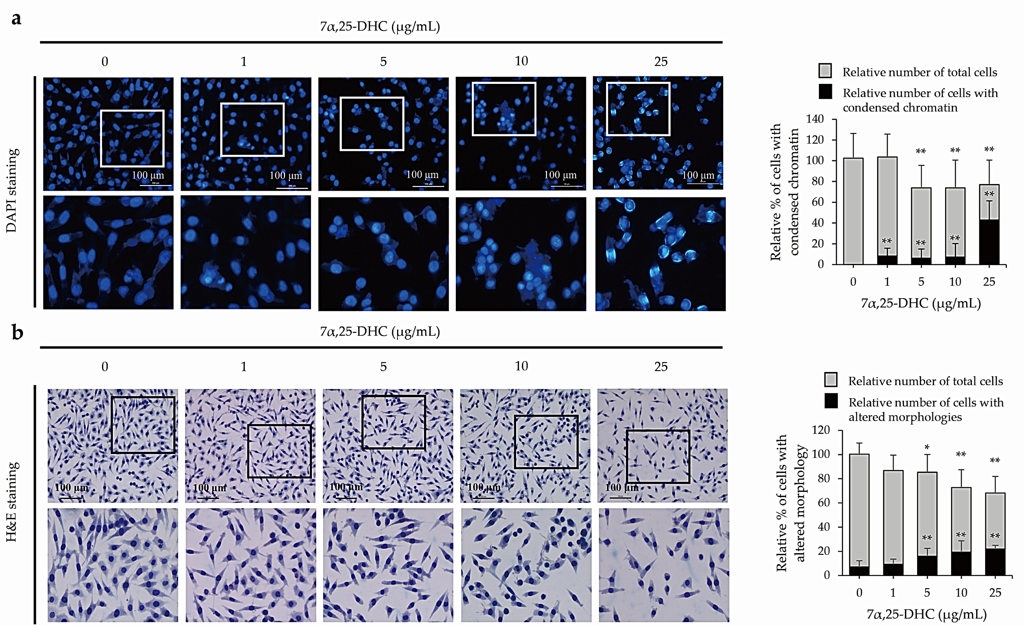 Molecules 27 04798 g003