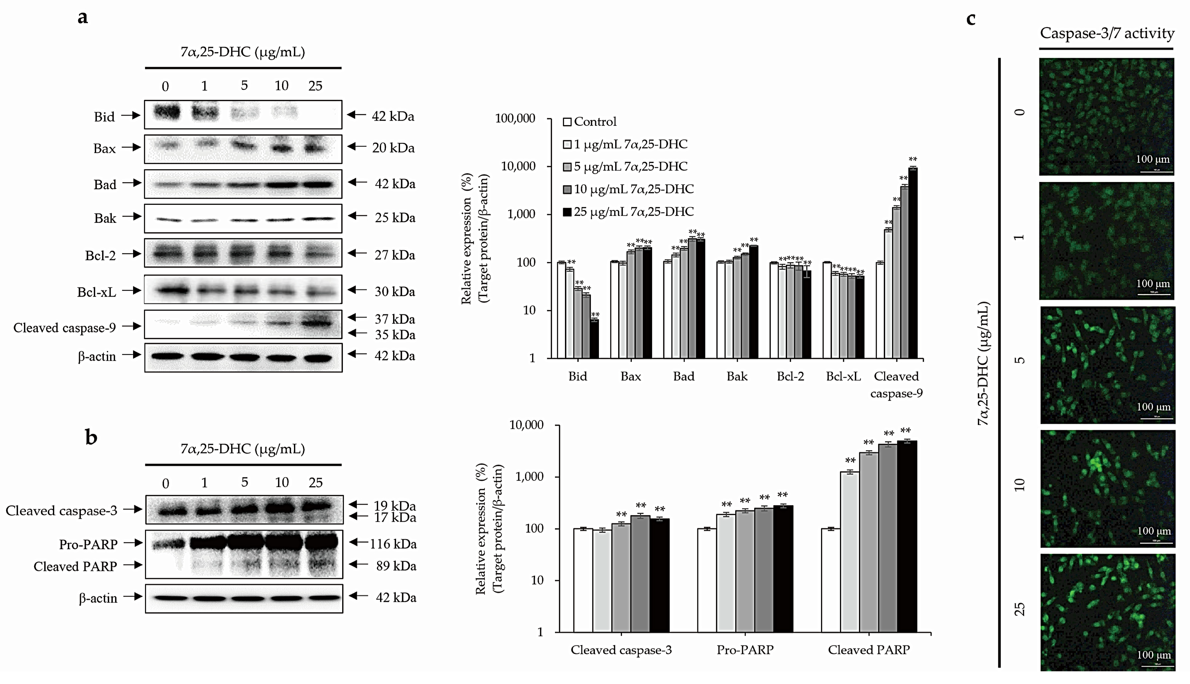 Molecules 27 04798 g005