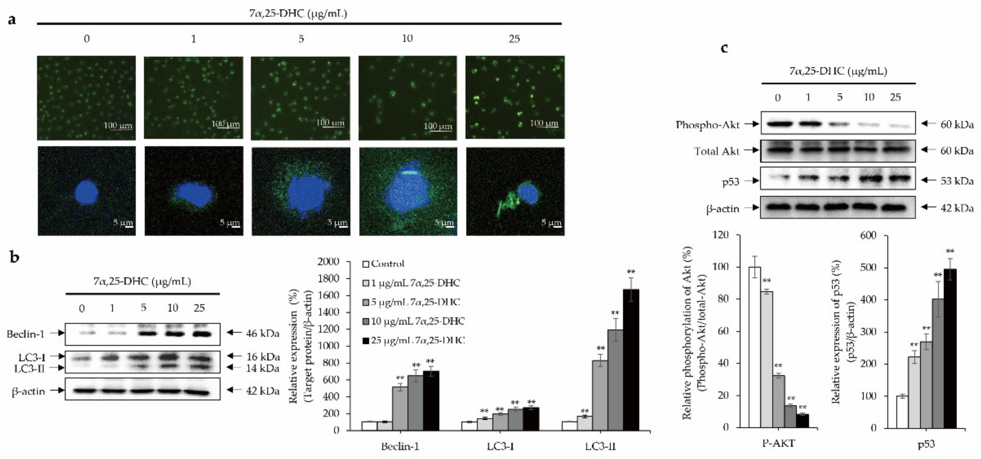 Molecules 27 04798 g007