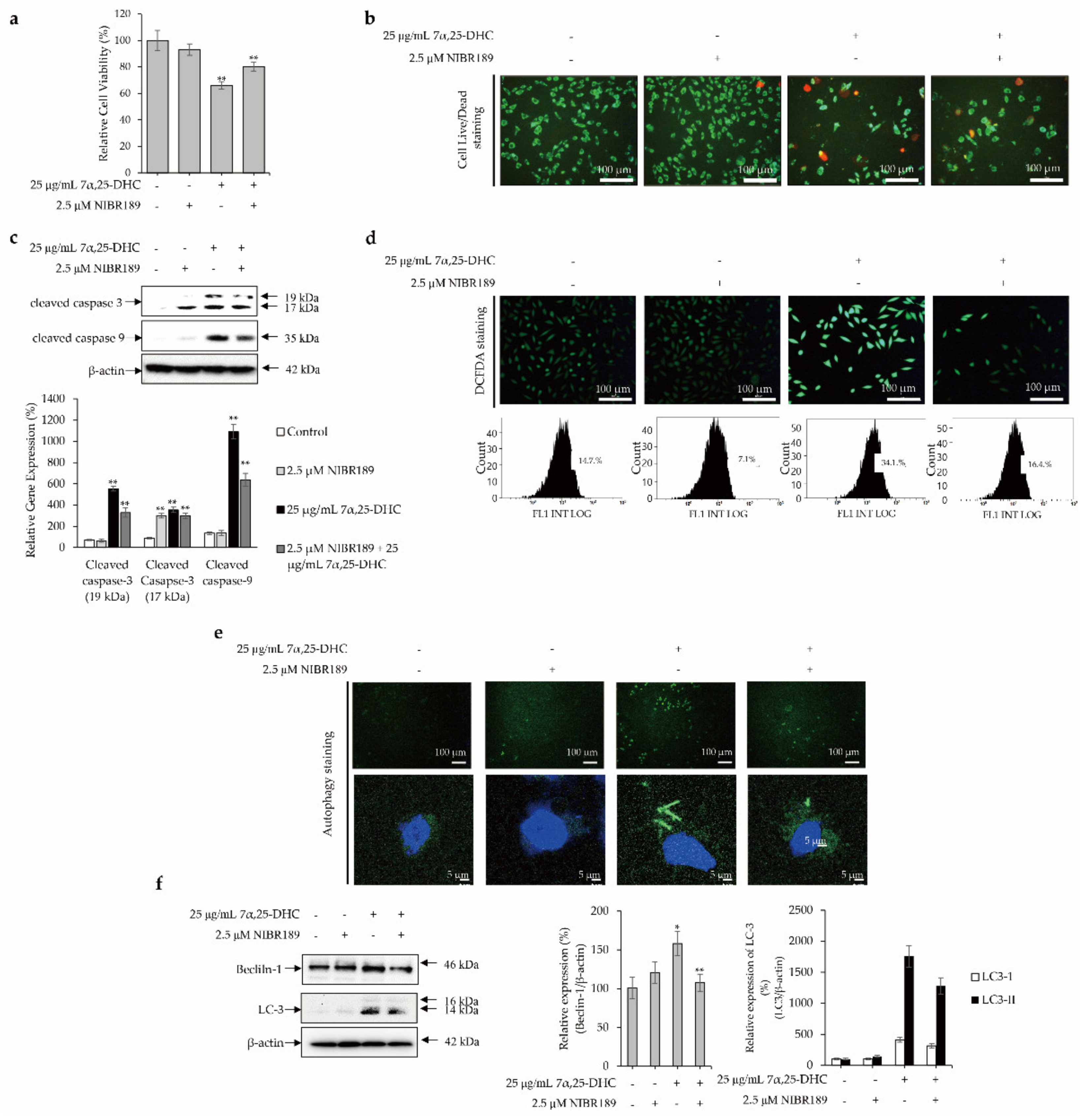 Molecules 27 04798 g008