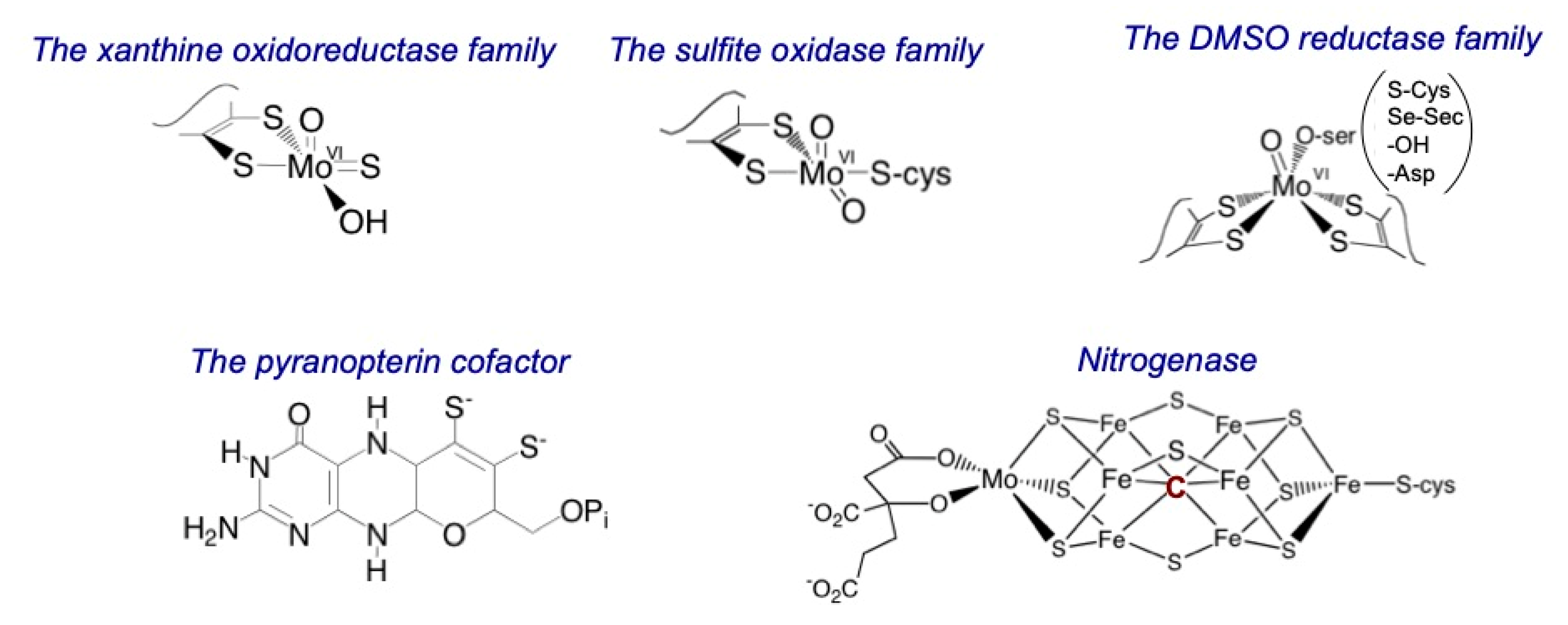 Molecules 27 04802 g001 550