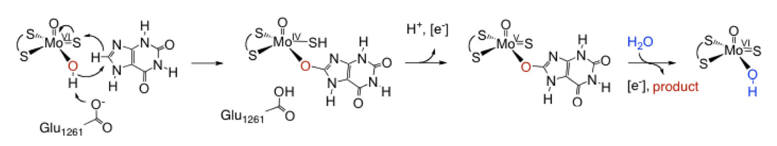 Molecules 27 04802 g004 550