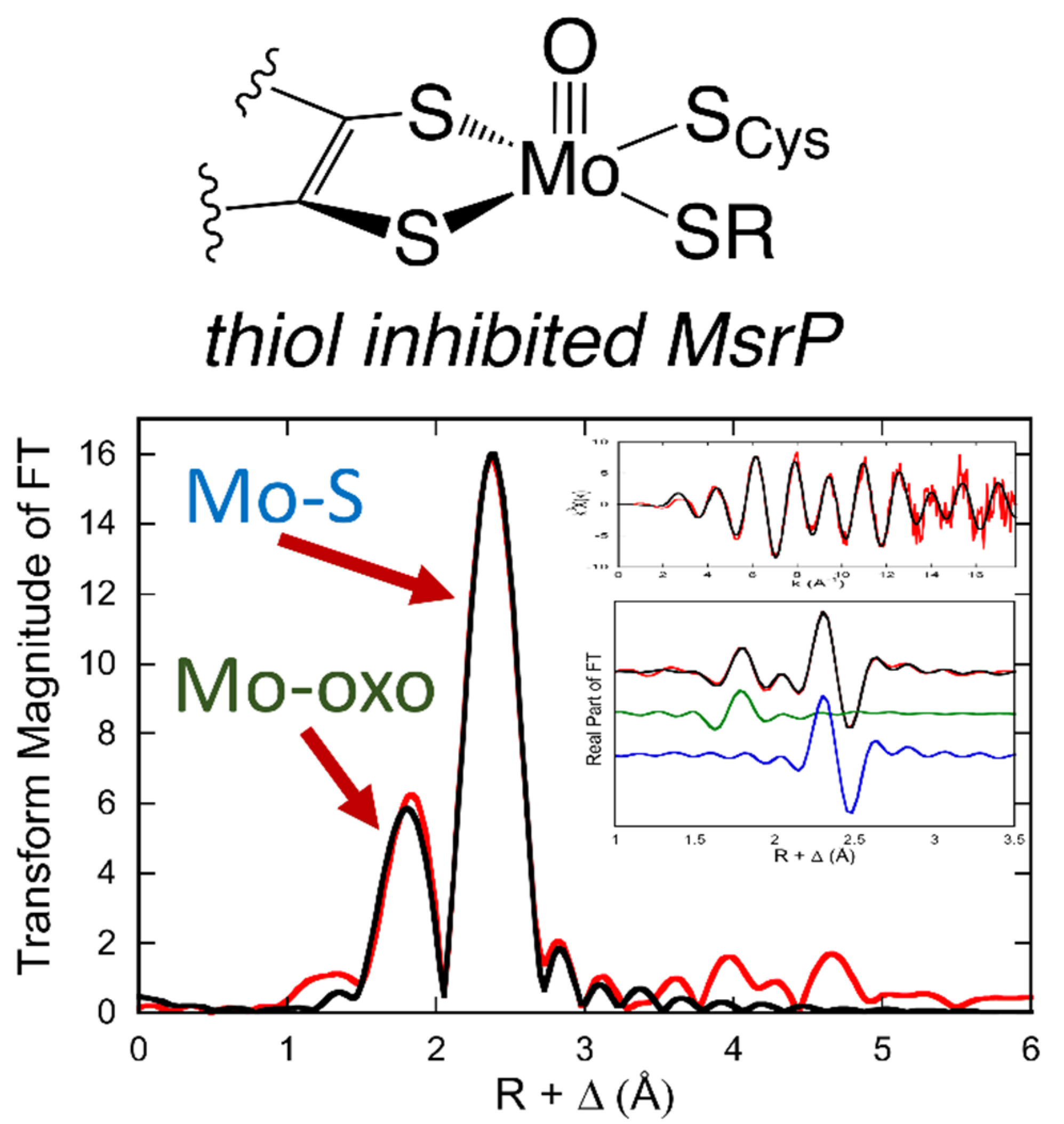 Molecules 27 04802 g005 550