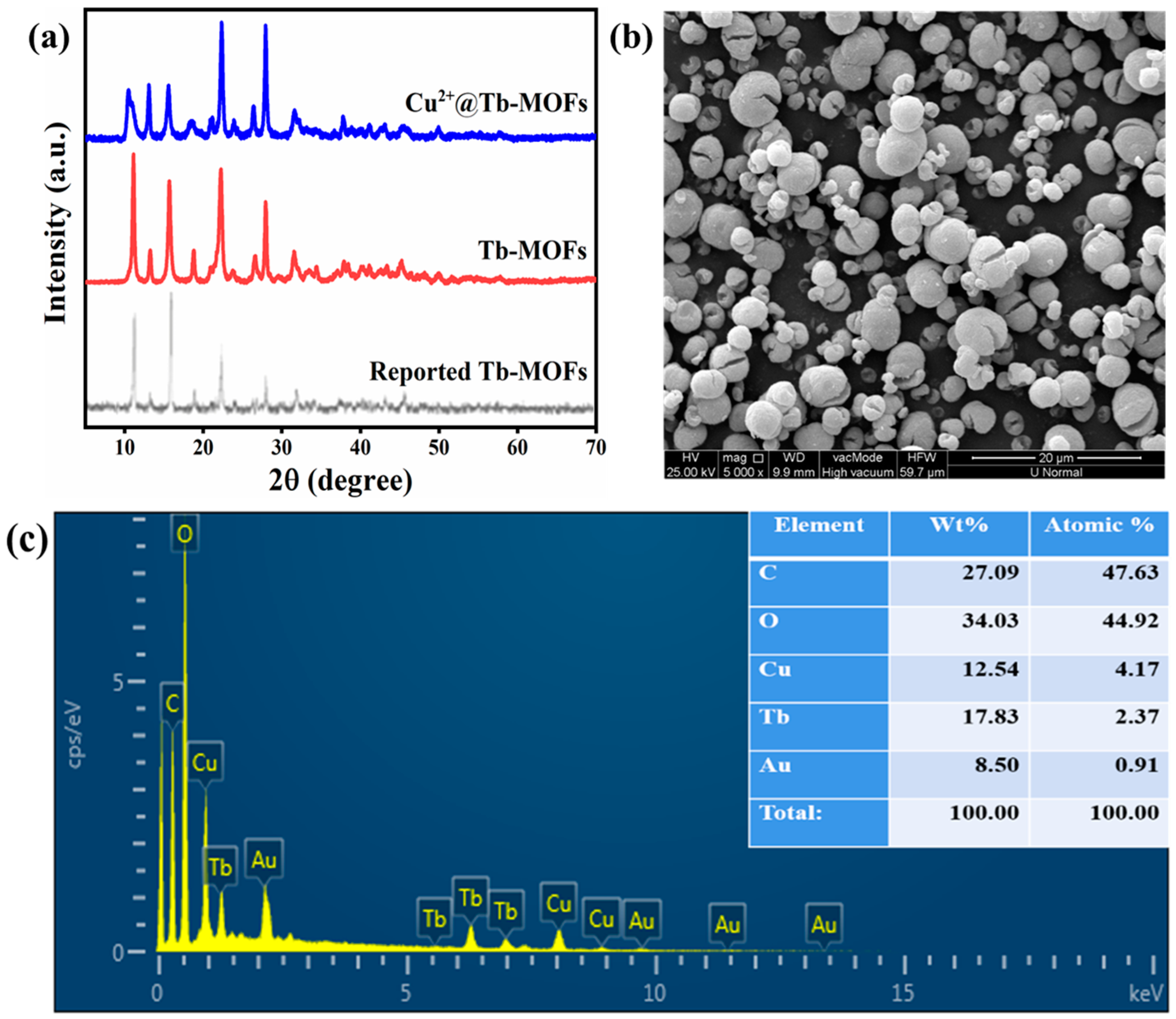 Molecules Free FullText A Novel TurnOn Fluorescence Probe Based