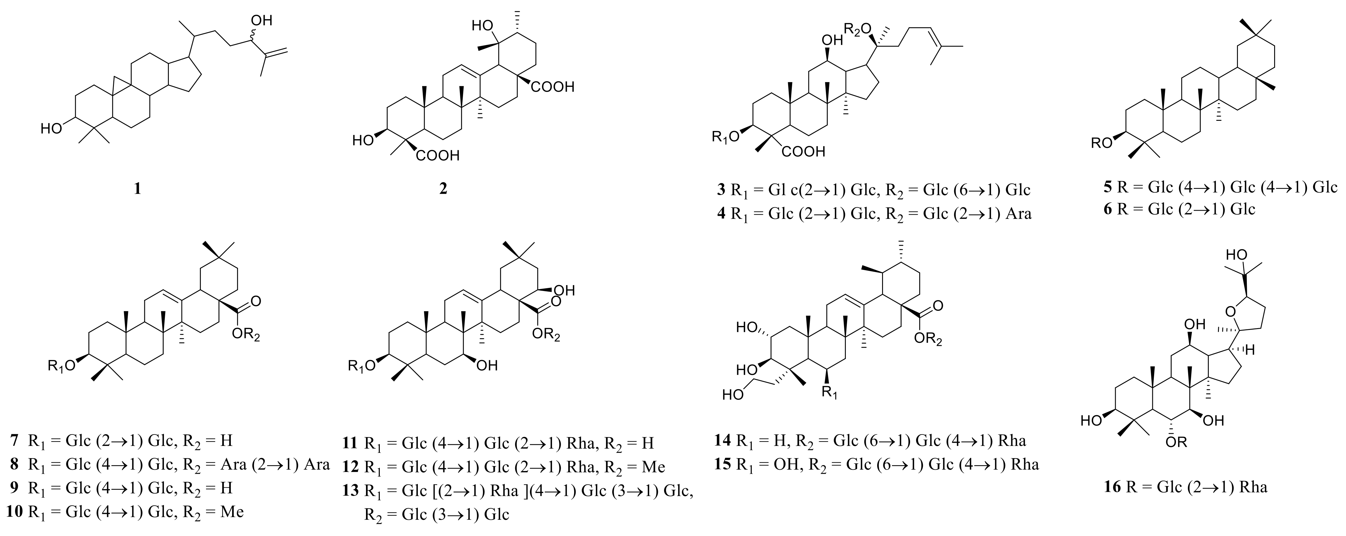 Molecules 27 04821 g006